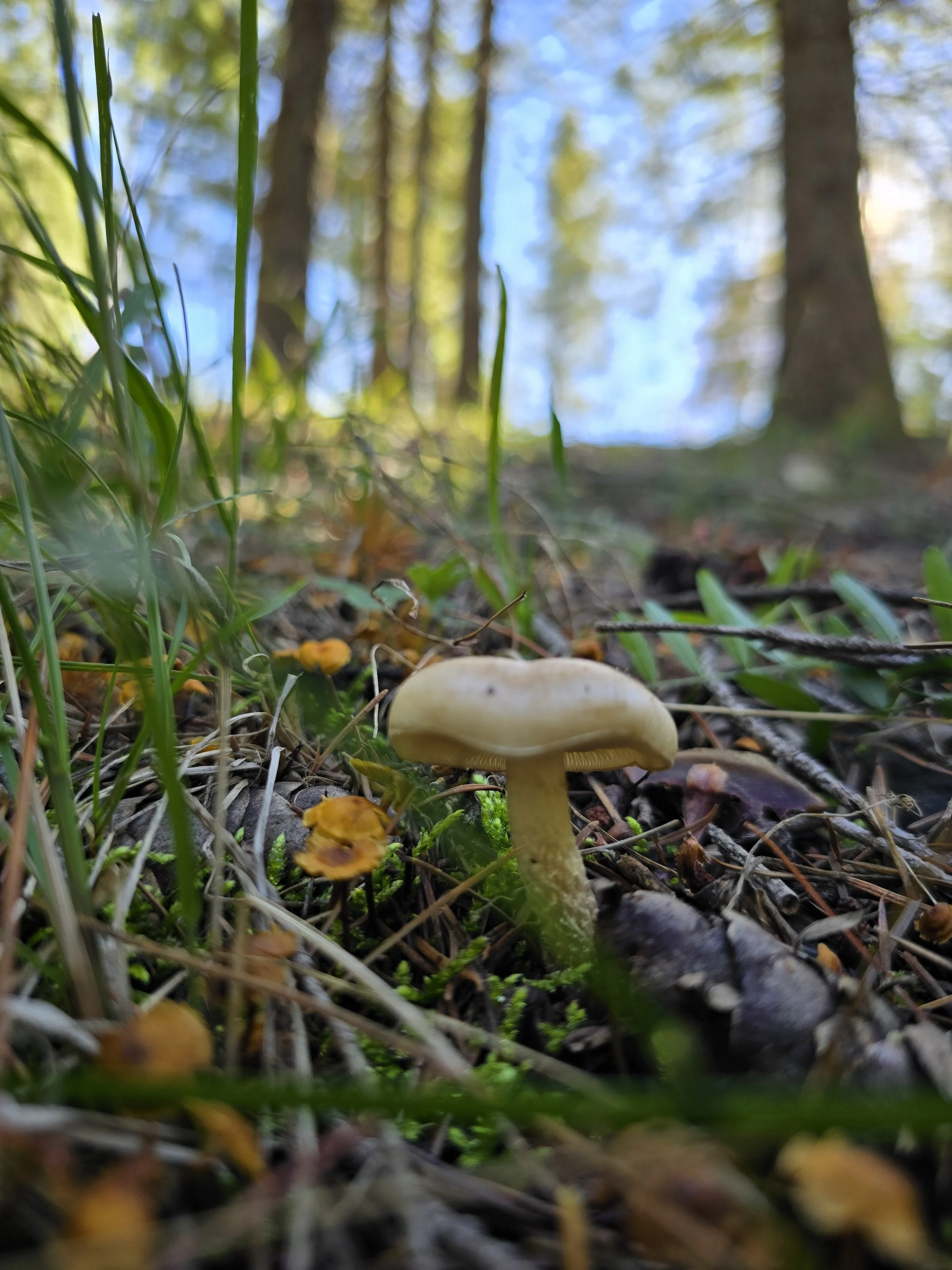 20250928_145334.jpg