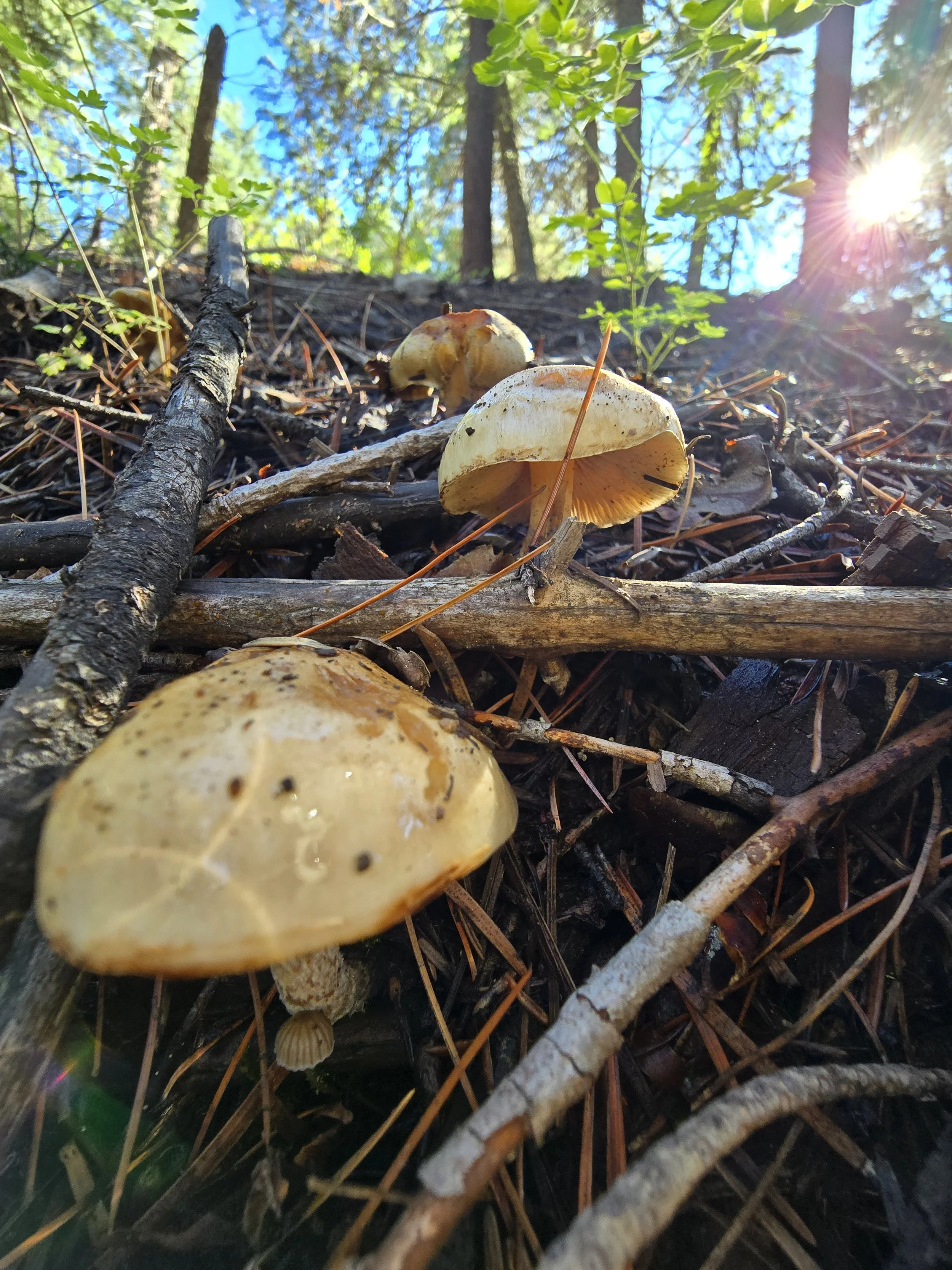 20250928_150837.jpg
