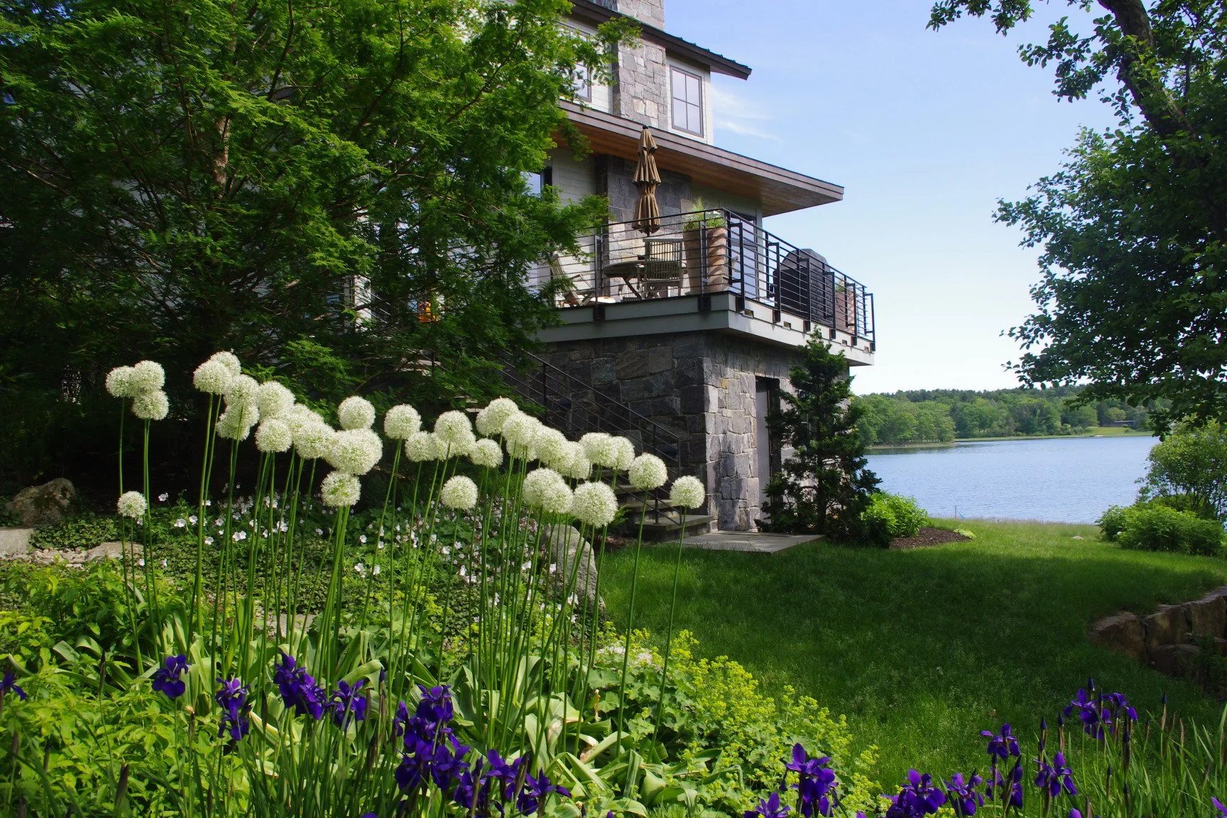 Barndollar rear flowers_a.JPG