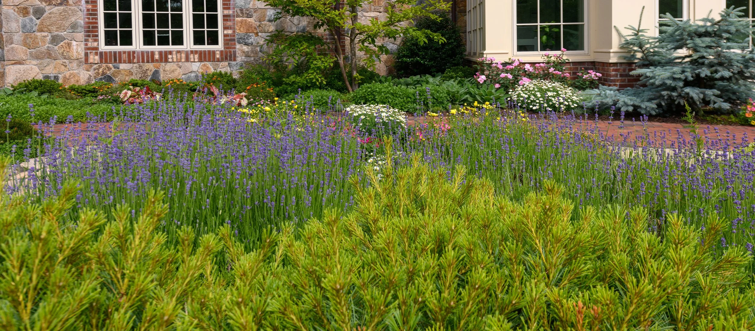 A vibrant garden in front of a house with a brick and stone exterior, featuring lush greenery, colorful flowers, and shrubs.