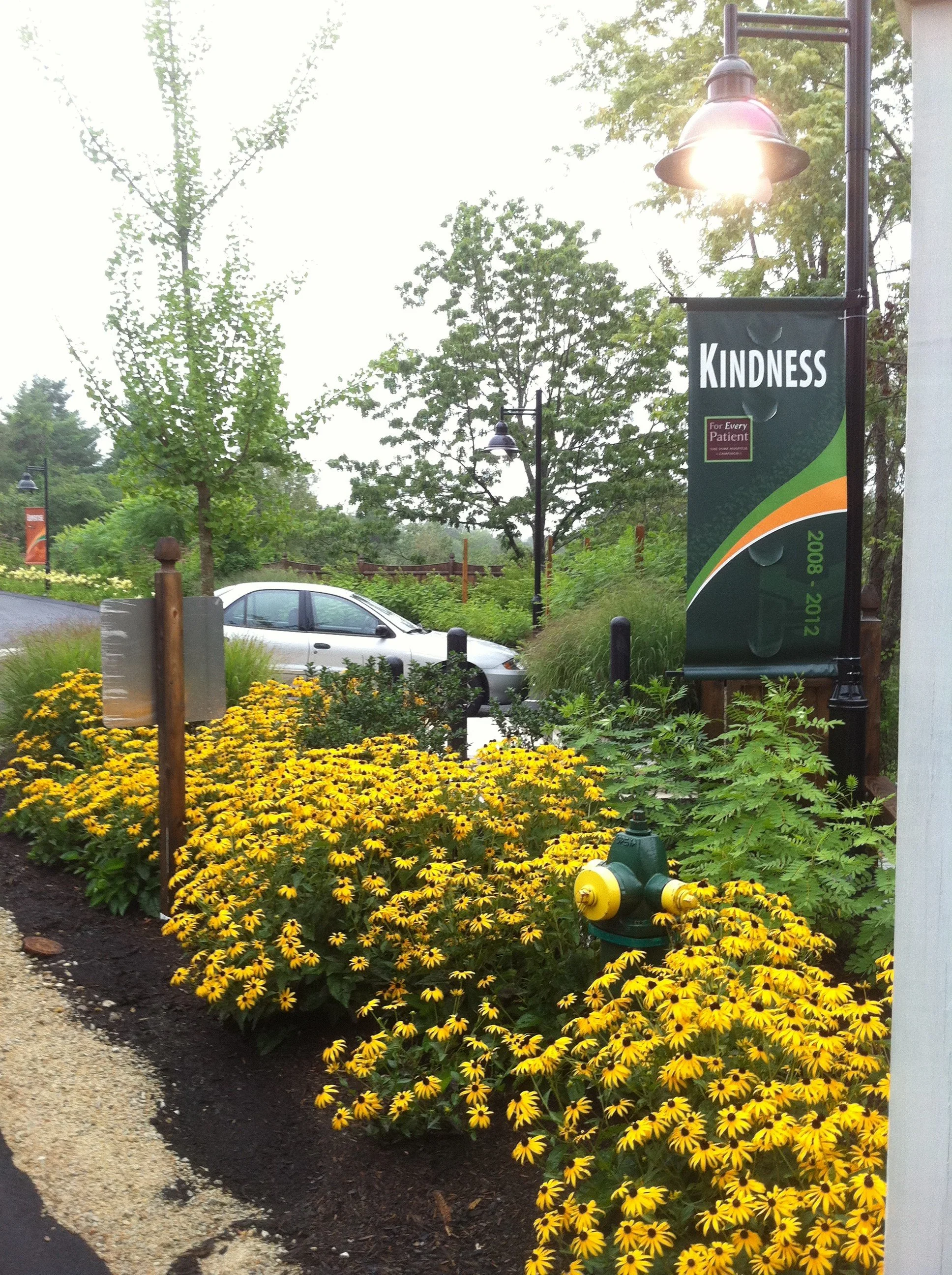 A sidewalk lined with yellow flowers, a street lamp, a sign that reads 'Kindness', and a parking lot with a silver car, green trees, and a fire hydrant.