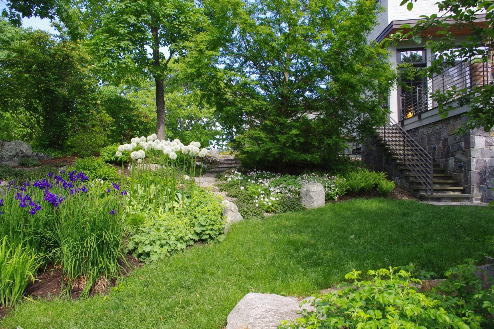 Barndollar rear overall.JPG