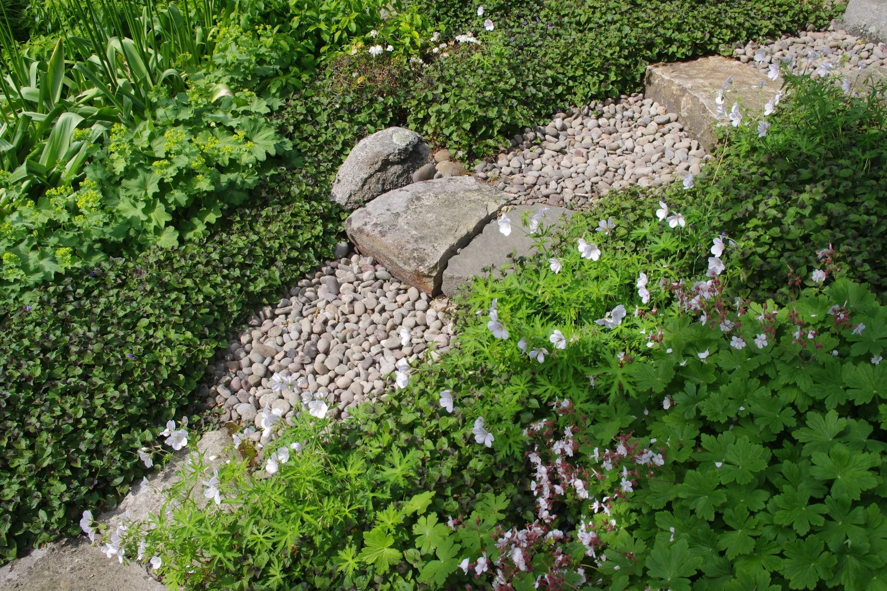 Barndollar path_b.JPG