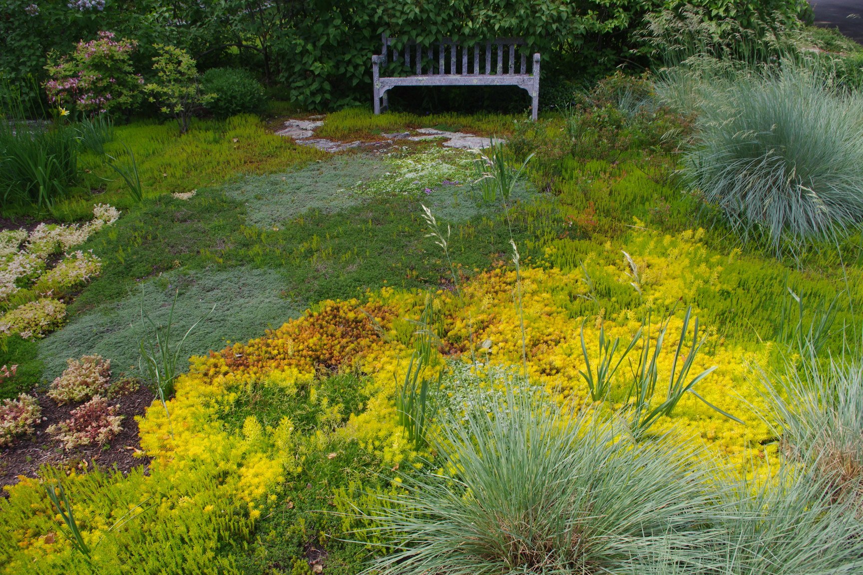 Barndollar rock garden.JPG