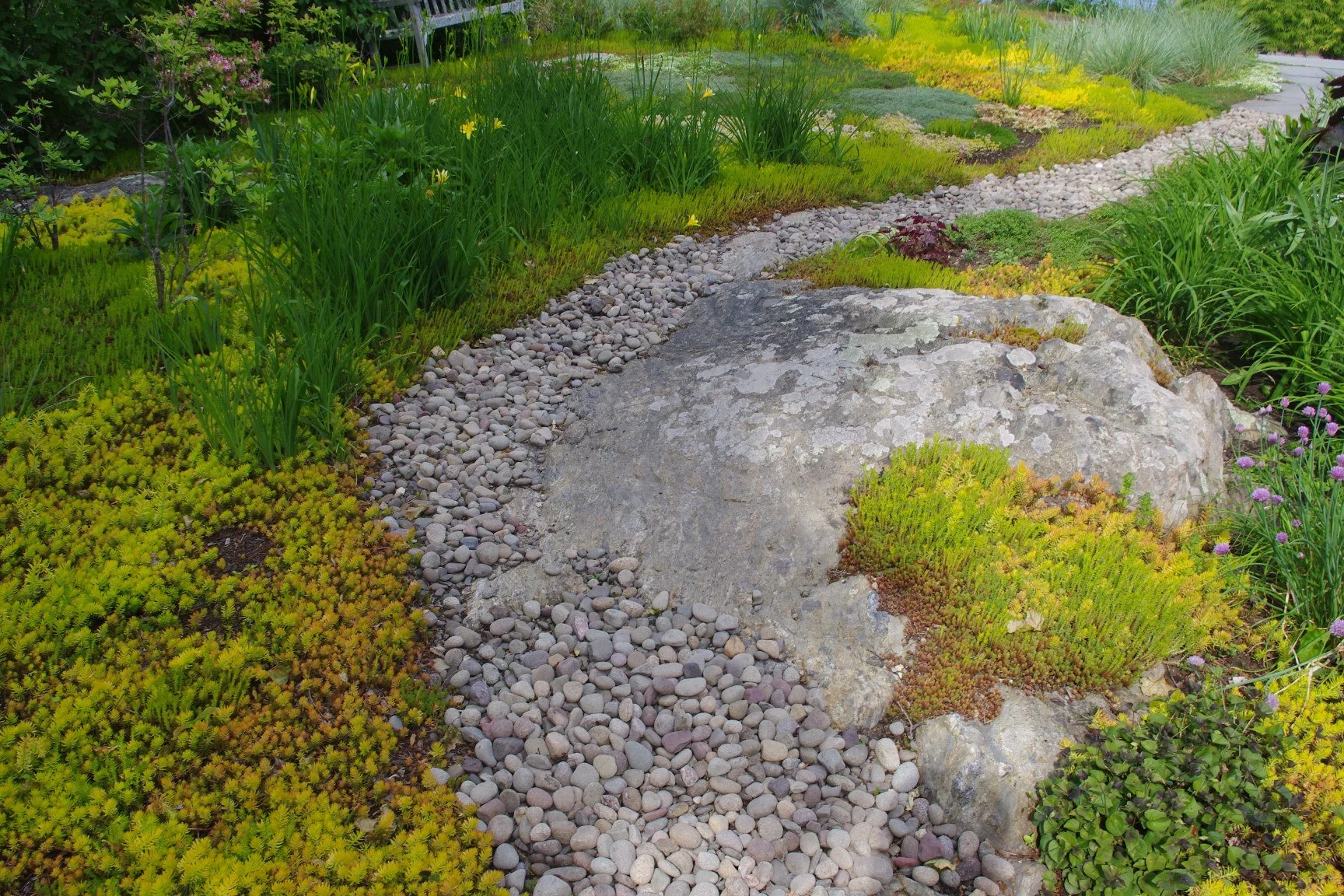 Barndollar path_a.JPG