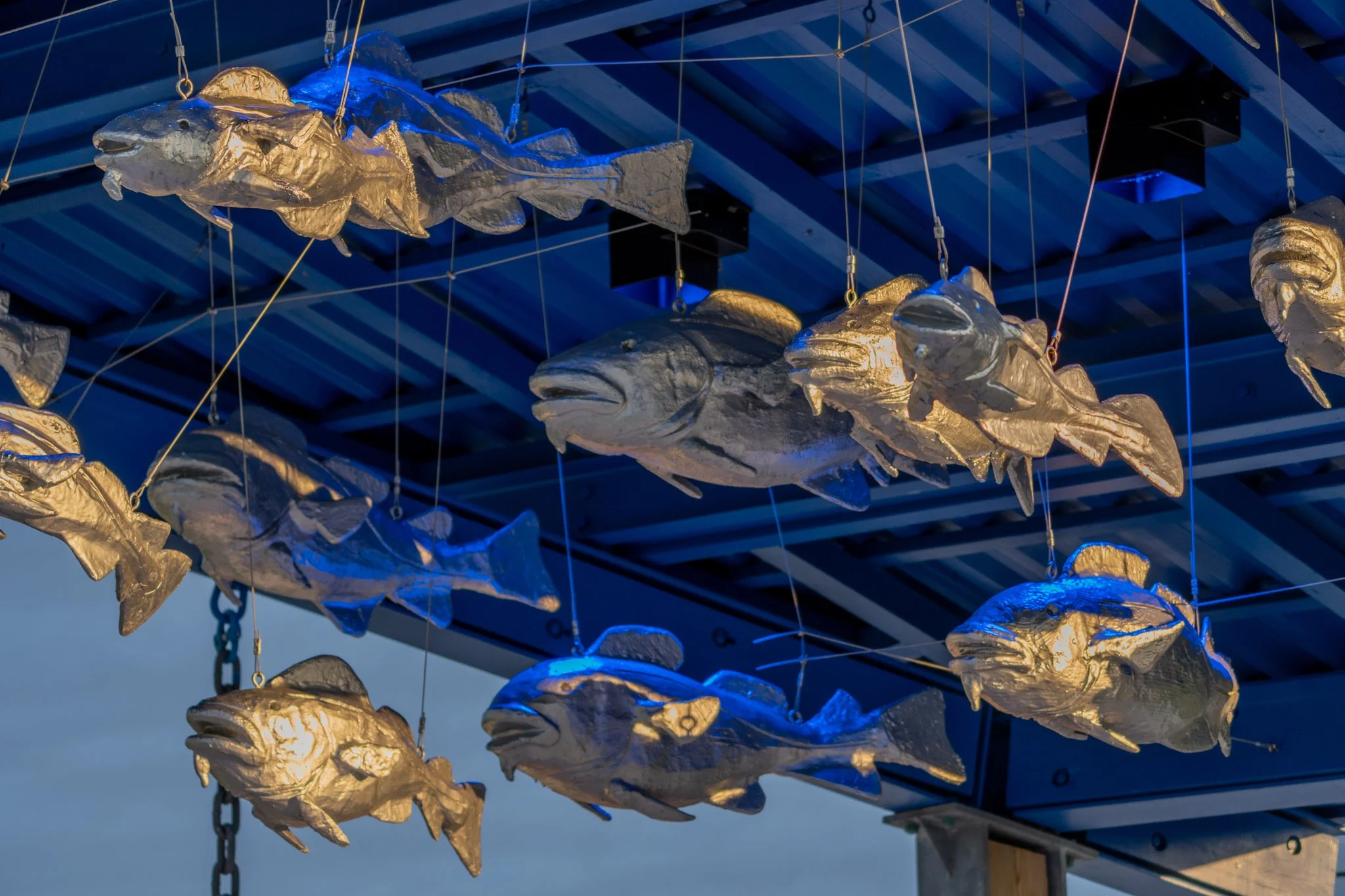 Hanging fish sculptures made of reflective material, suspended by wires from a blue metal roof structure.