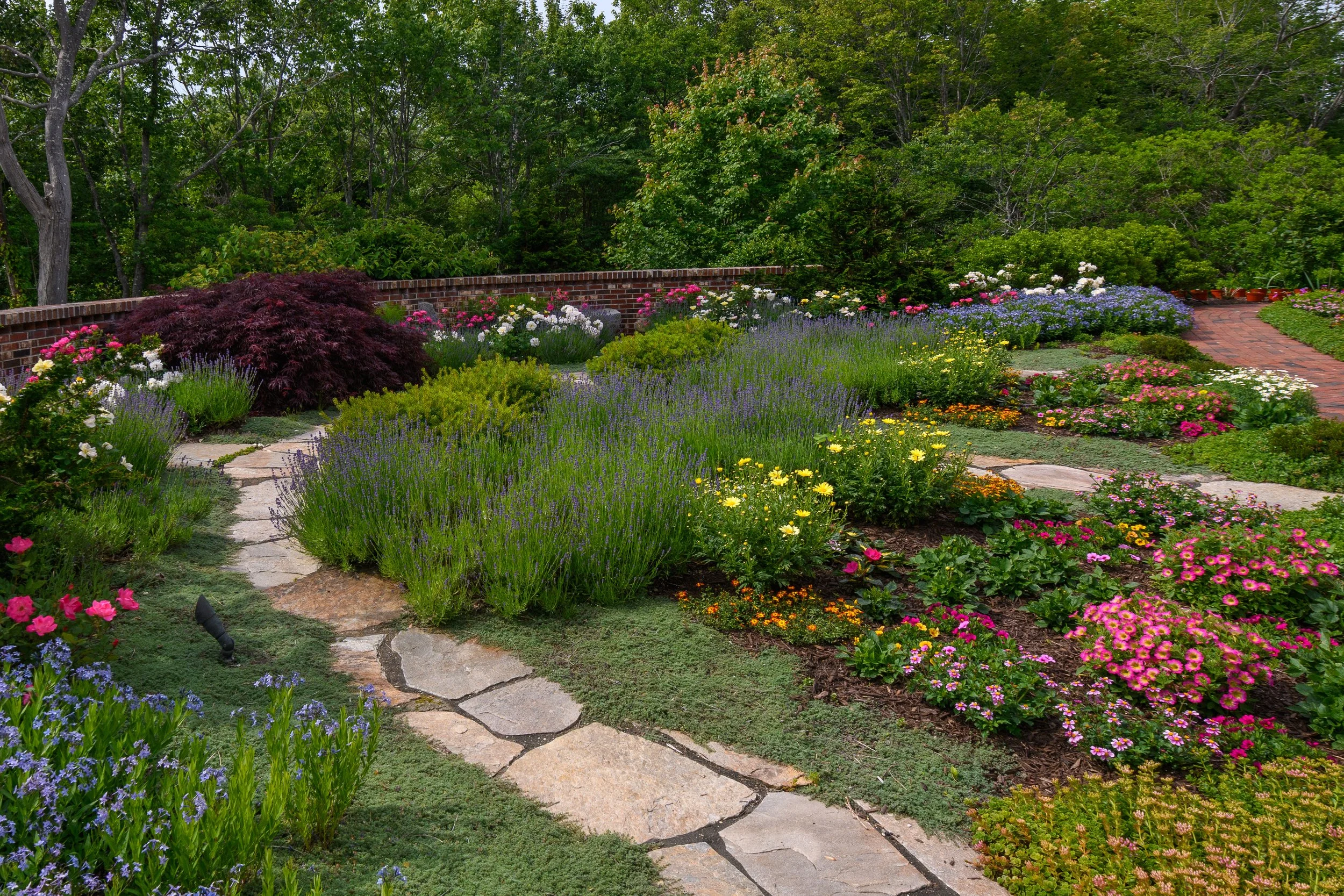 A vibrant garden with a stone pathway, colorful flowers, and lush green trees in the background.