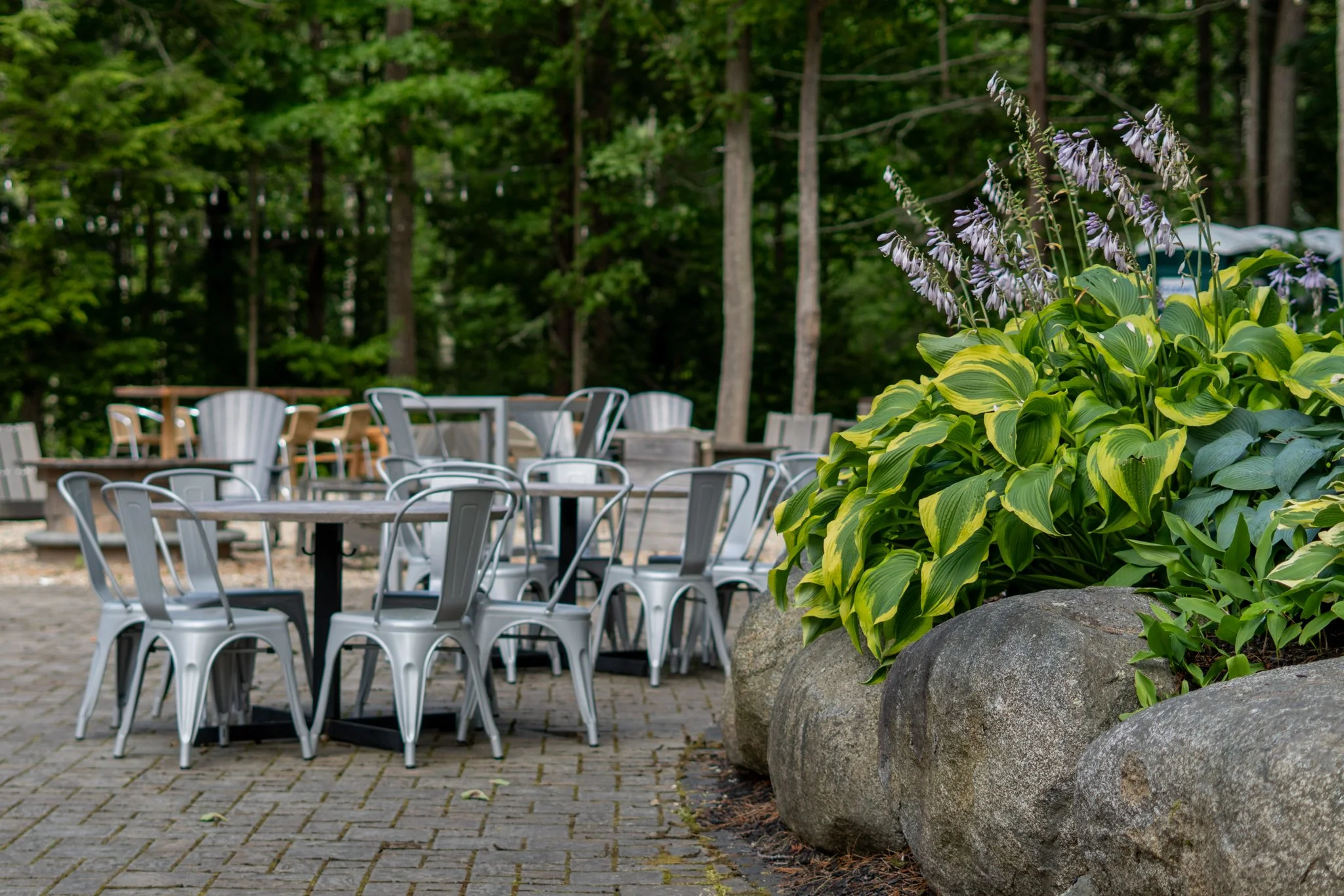 Empty outdoor patio with metal tables and chairs, large rocks, and a lush green forest background.