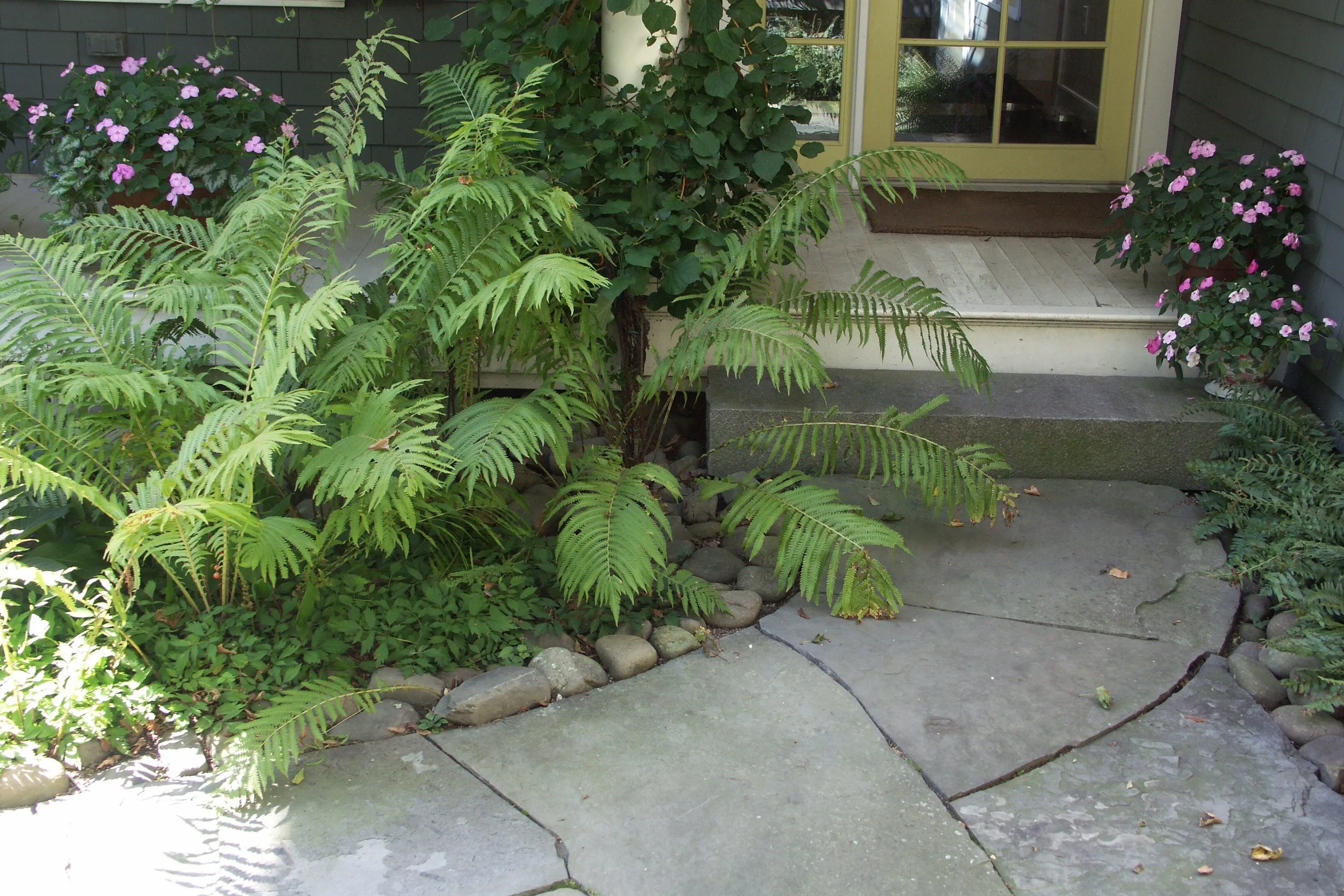 1-Front entry with Ferns.JPG