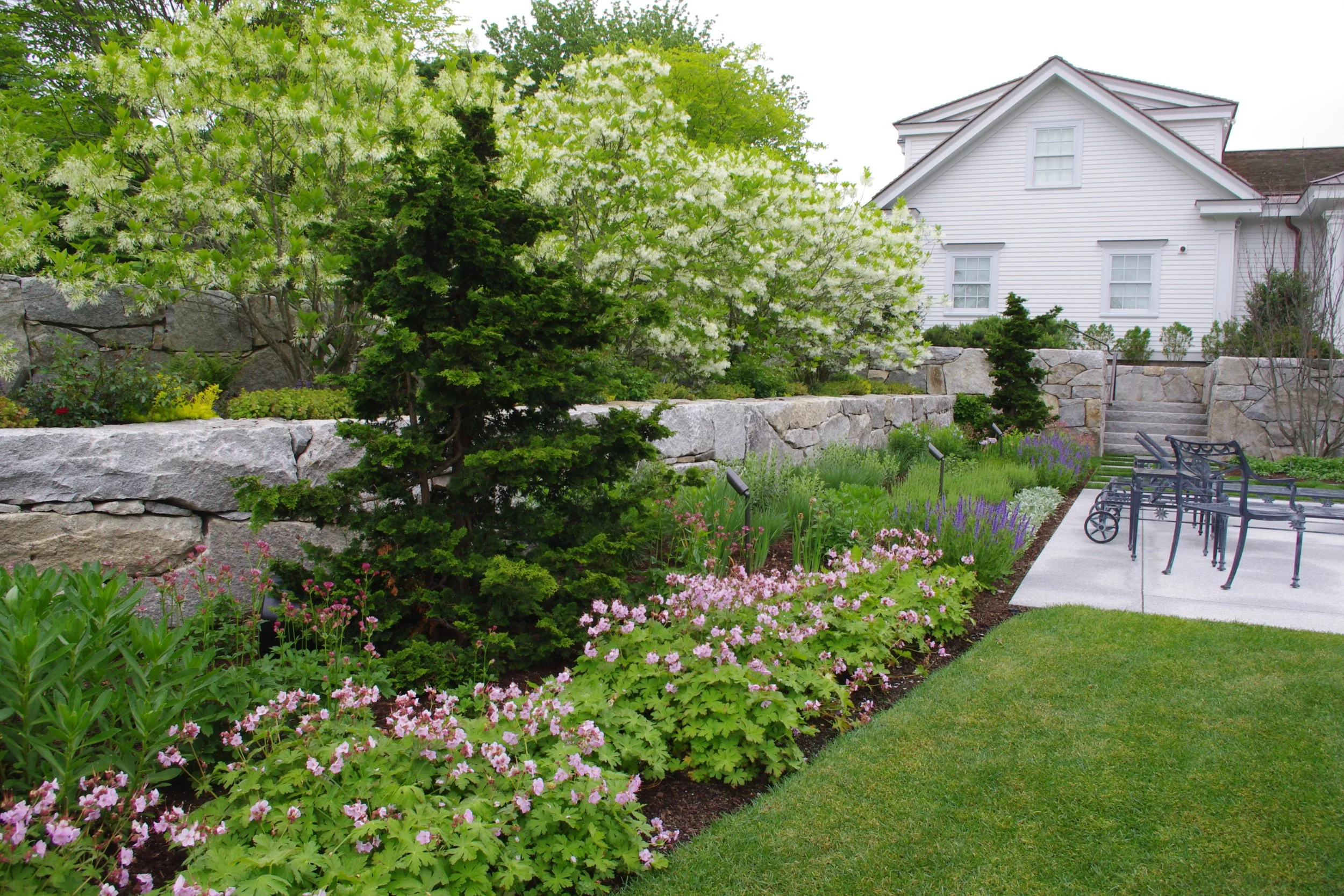 A backyard garden with flowering plants, green trees, a stone wall, and a white house in the background.
