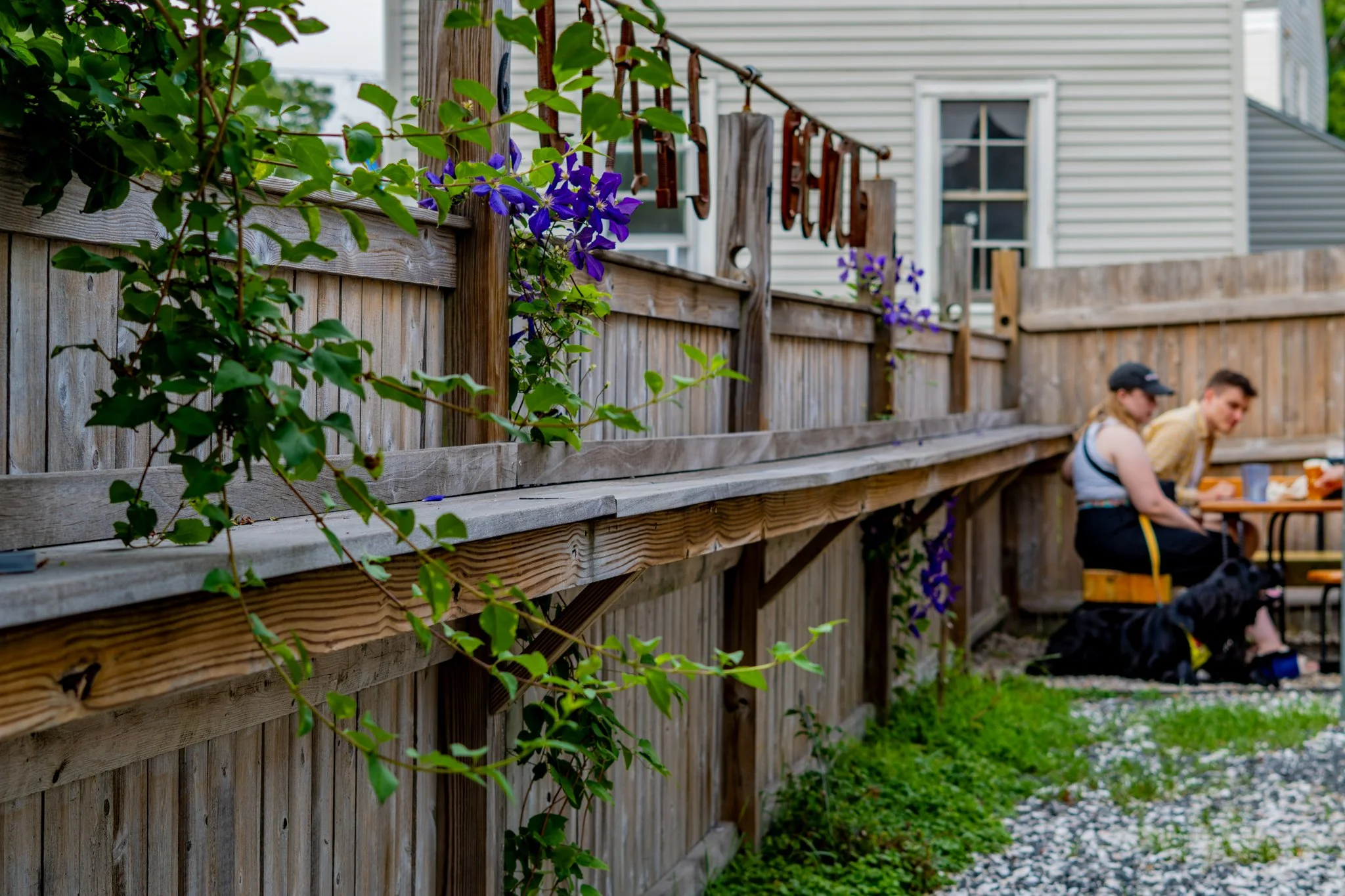 Two people sitting at a table in a backyard patio with a wooden fence and climbing plants with purple flowers.