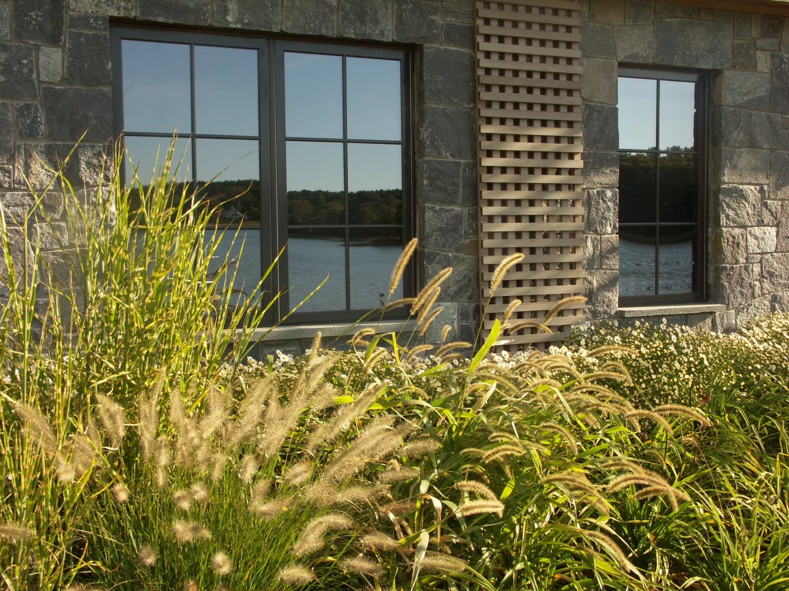 A stone house with large windows reflecting water and trees, surrounded by tall grasses and small white flowers.