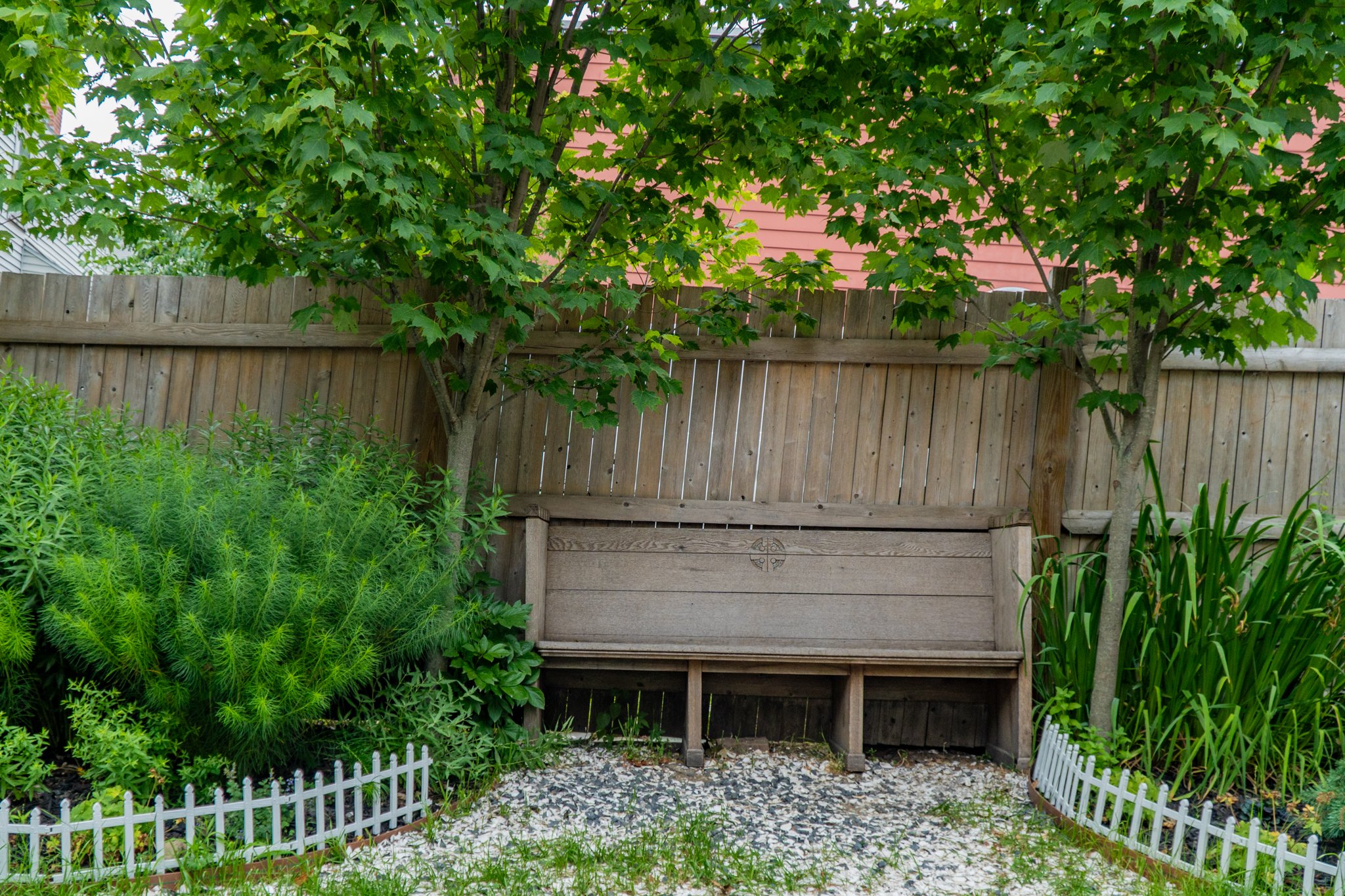 A garden scene with a wooden bench against a wooden privacy fence, surrounded by trees with green leaves and various plants, including tall grasses and small shrubs, with decorative white edging.