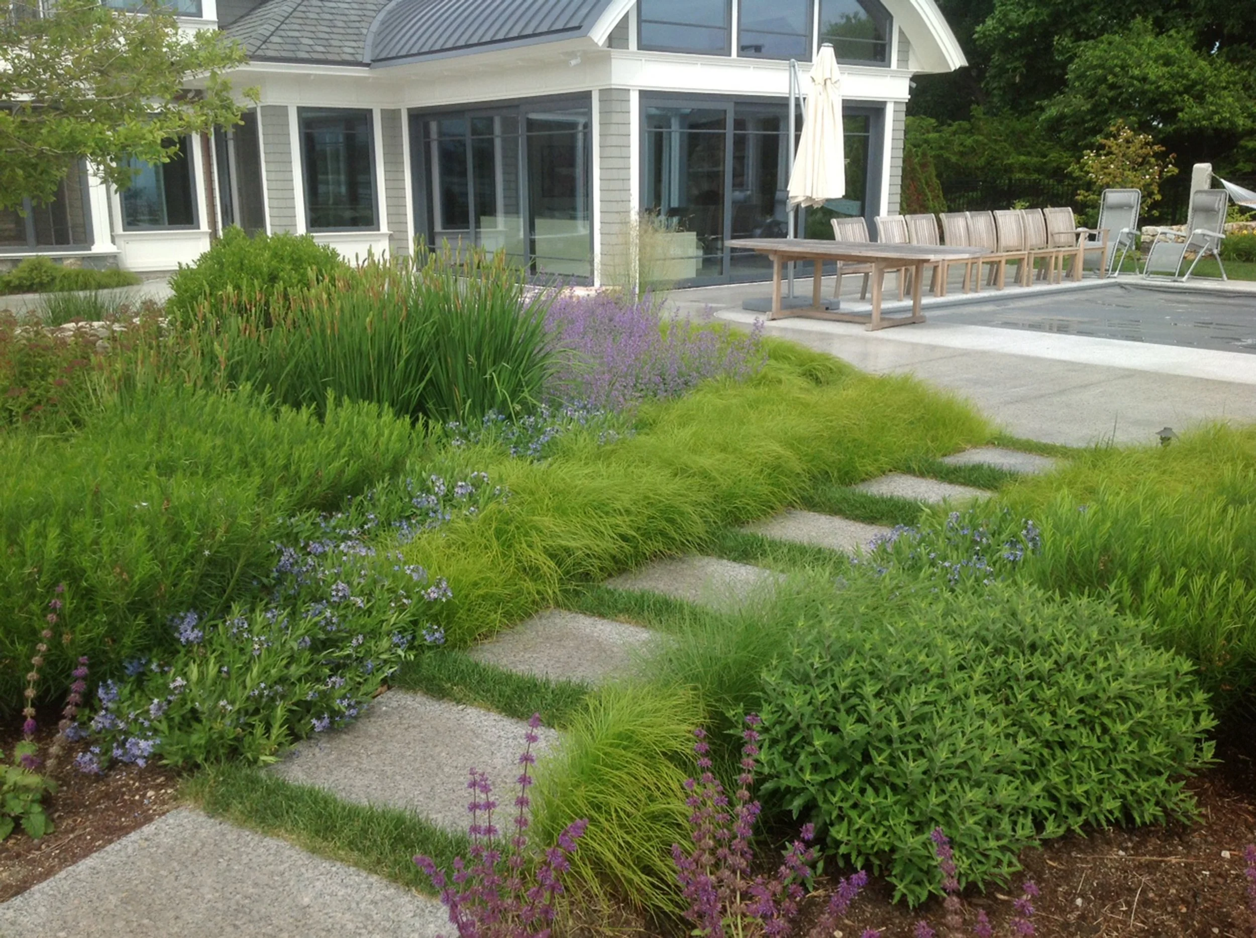 Well-maintained backyard with lush green plants, purple and blue flowers, stone pathway, patio seating, and a contemporary house with large windows and a sunroom.