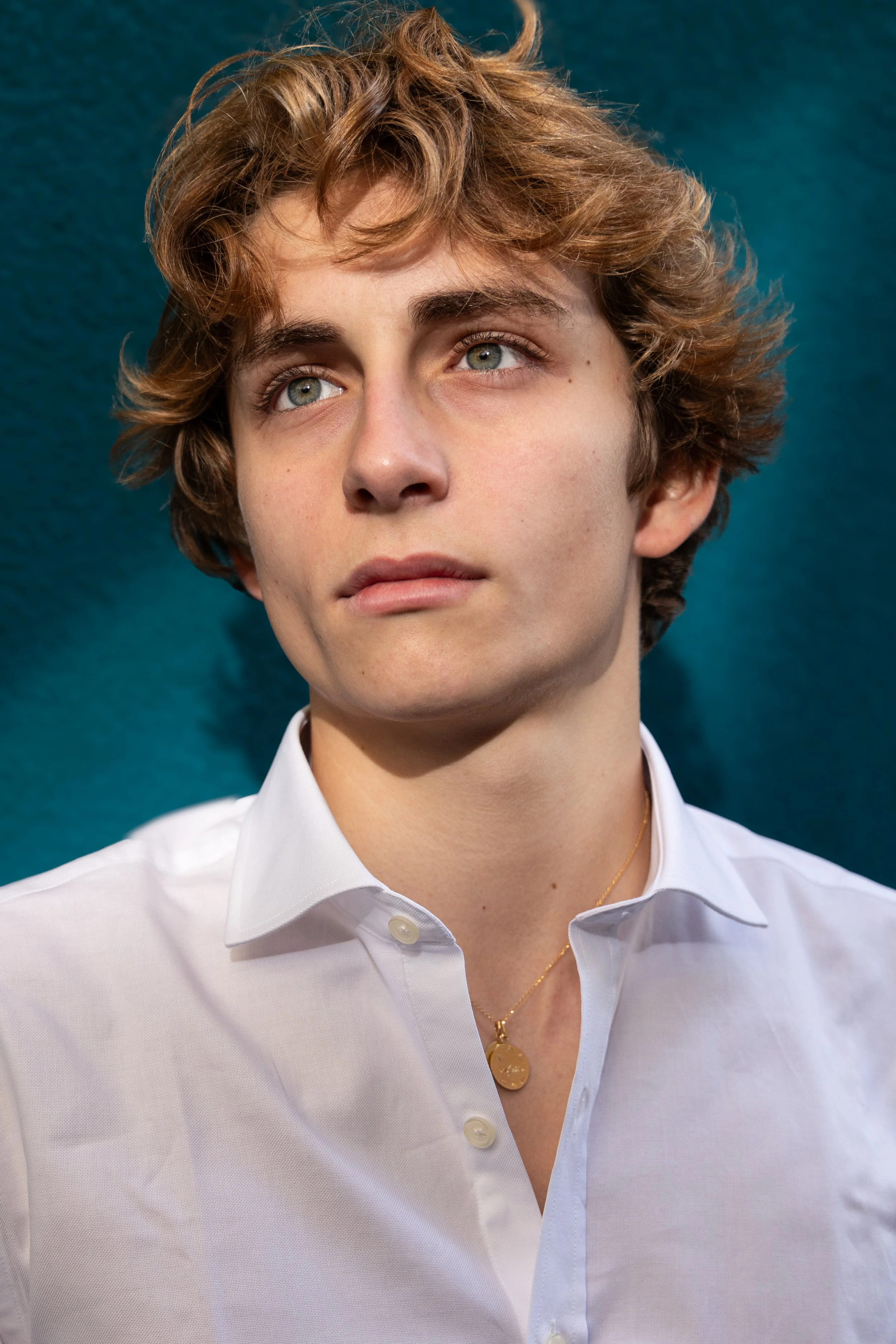 Ulysse, Model