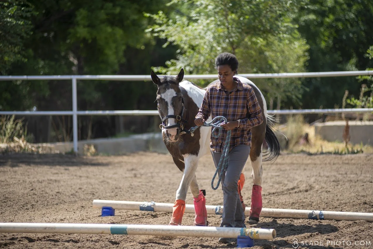 A person participating in a ground based horsemanship lesson leading a horse over small obstacle poles in an outdoor riding arena at The Right Step Inc.