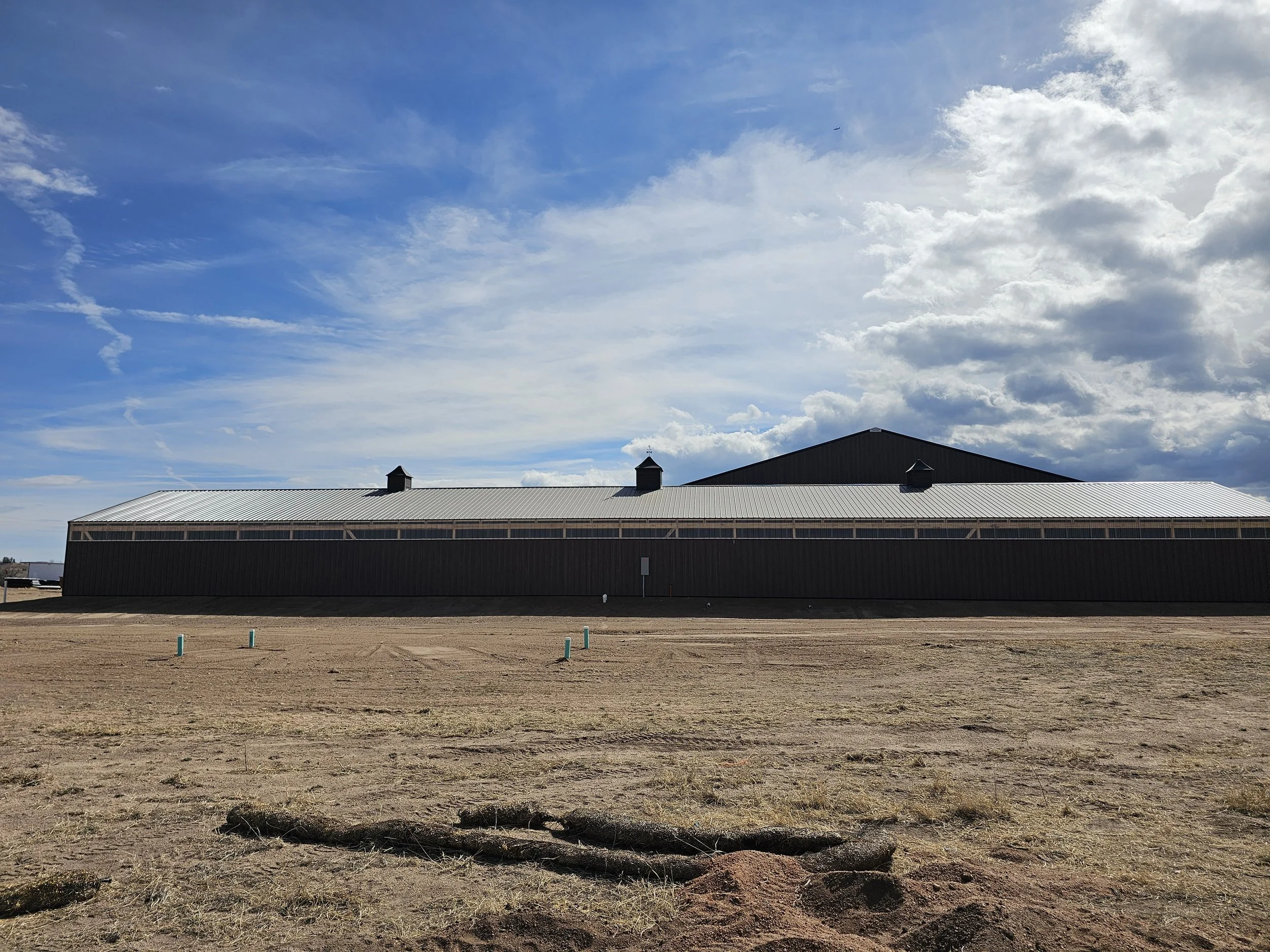 Equine Health and Emergency First Aid Class