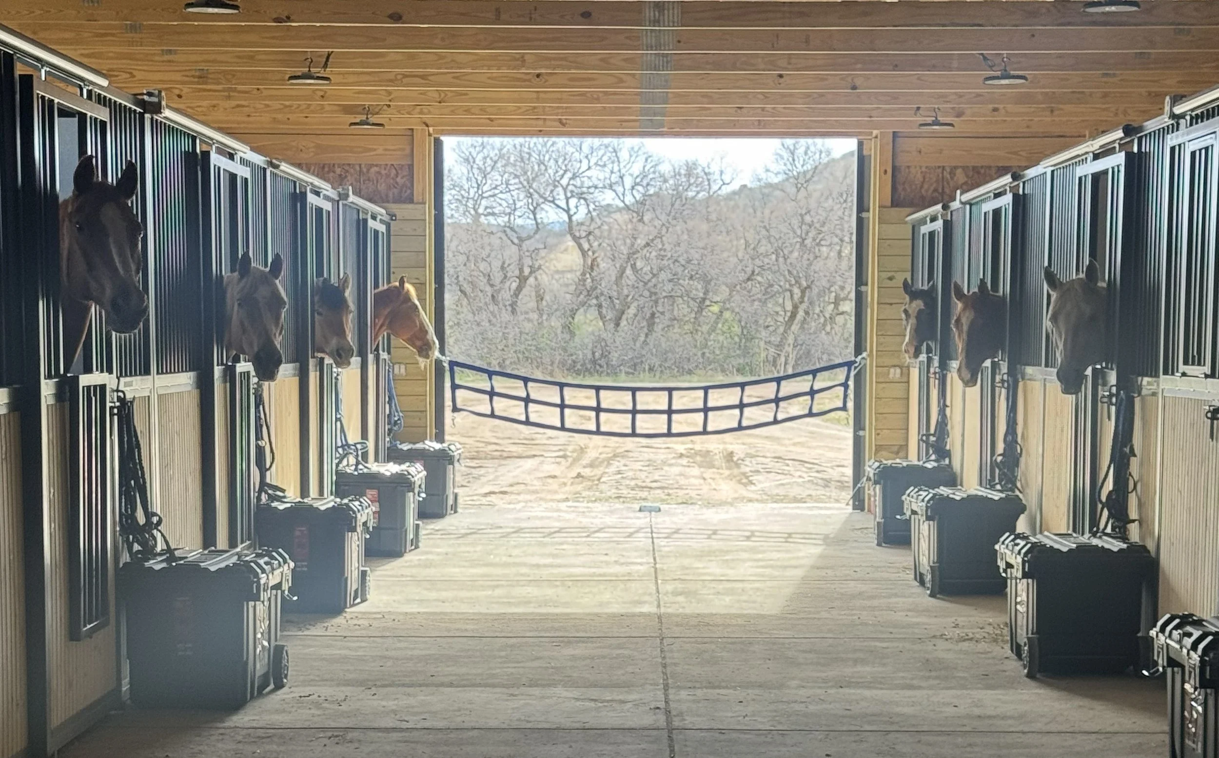 Feeding and Mucking Training 