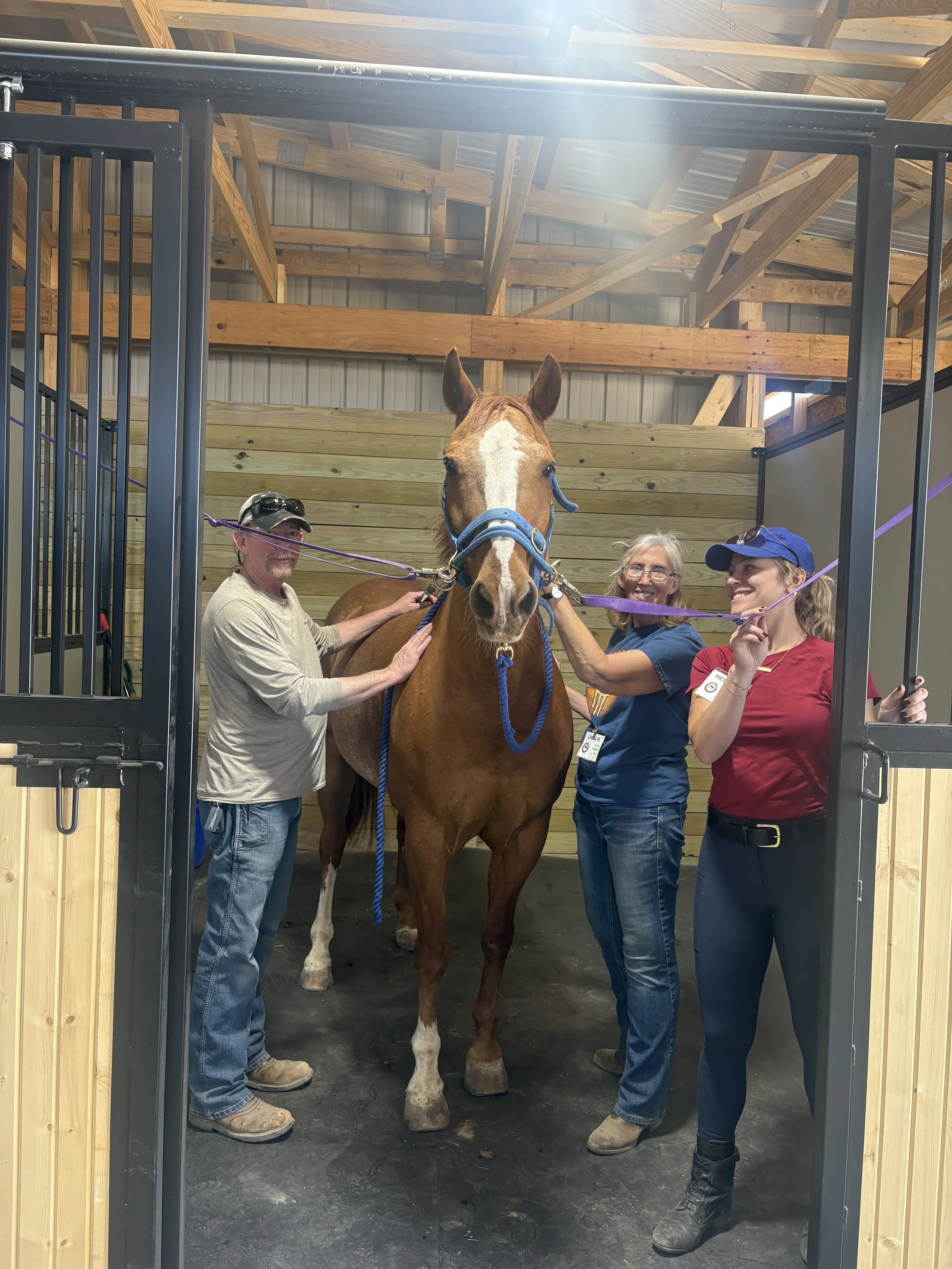 Horse Leader Training