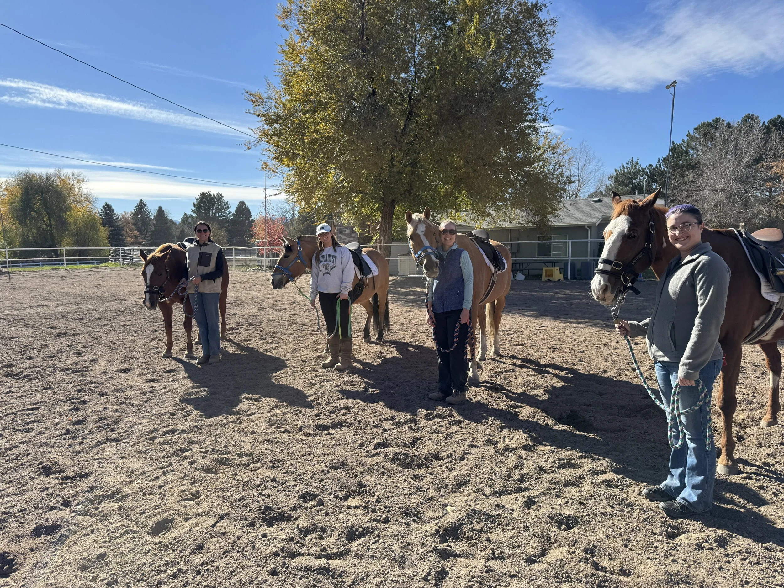 Horse Leader Training