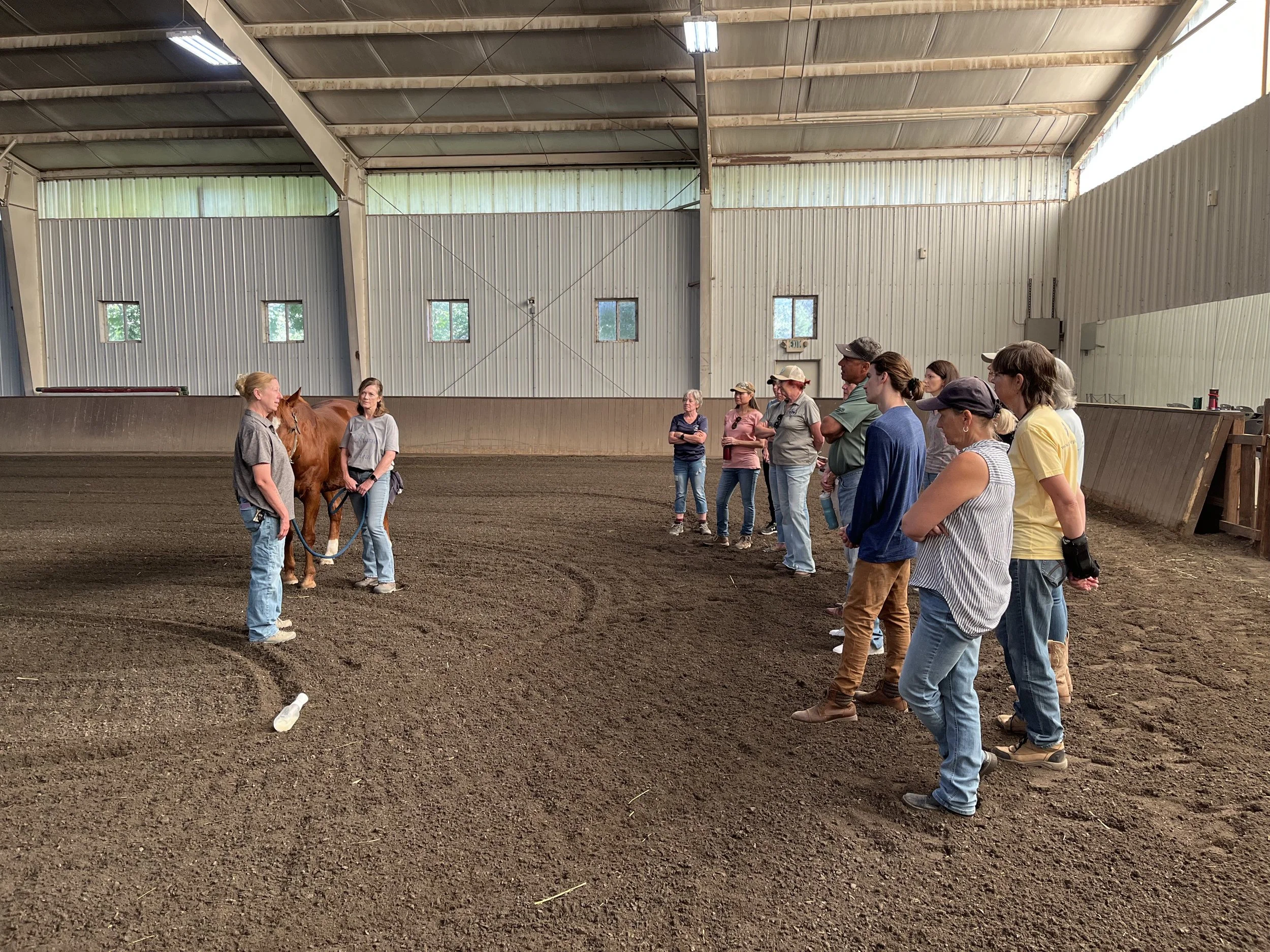 Inside The Right Step Inc. arena, a group of people attentively listening to a trainer who is standing next to a chestnut horse, holding its lead rope.