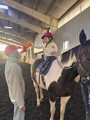 A young The Right Step Inc. client in riding gear sitting on a black and white horse, doing an activity during her adaptive riding lesson. 