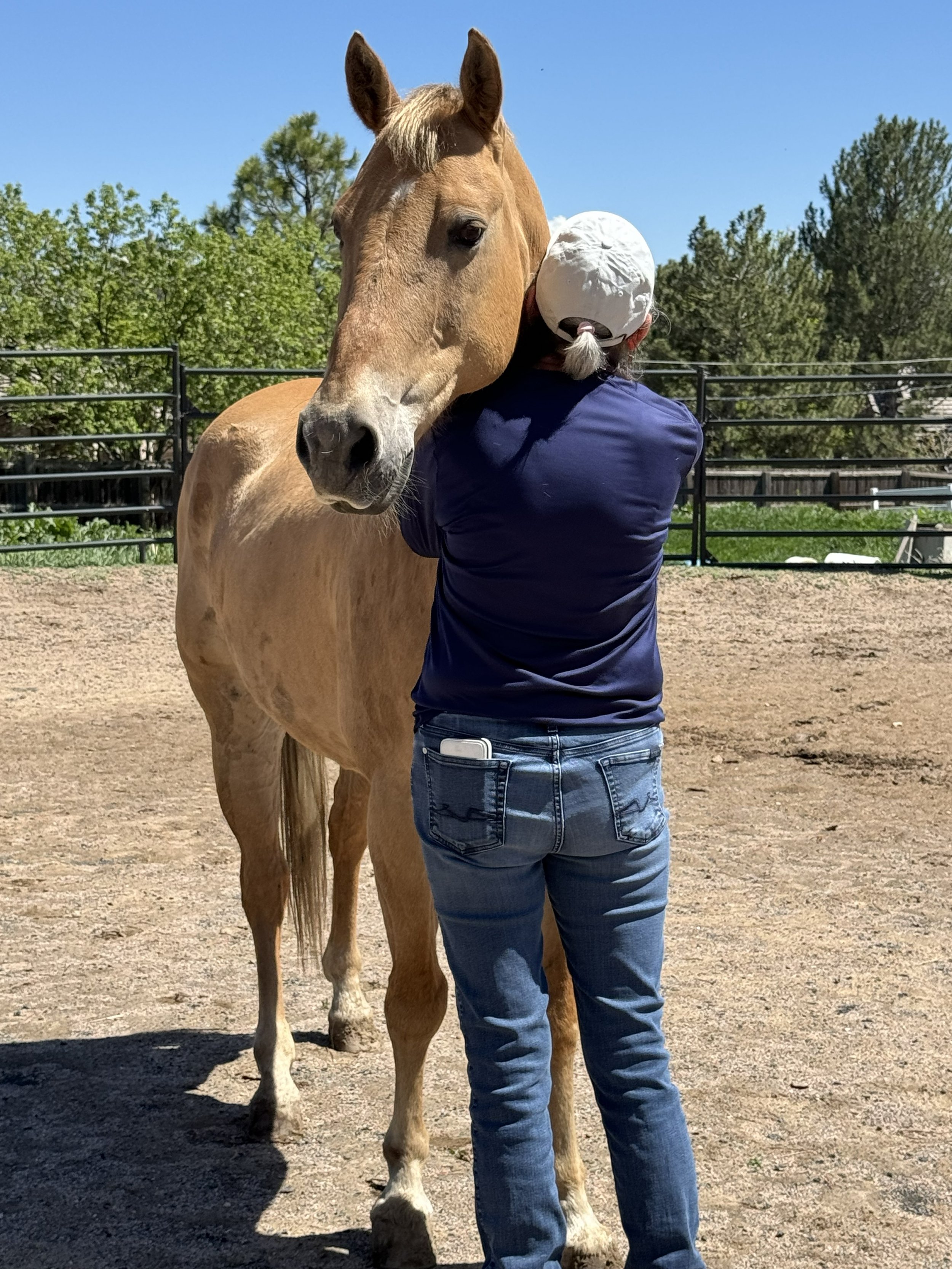 Person hugging a tan horse in an outdoor enclosure with trees and a clear blue sky in the background.