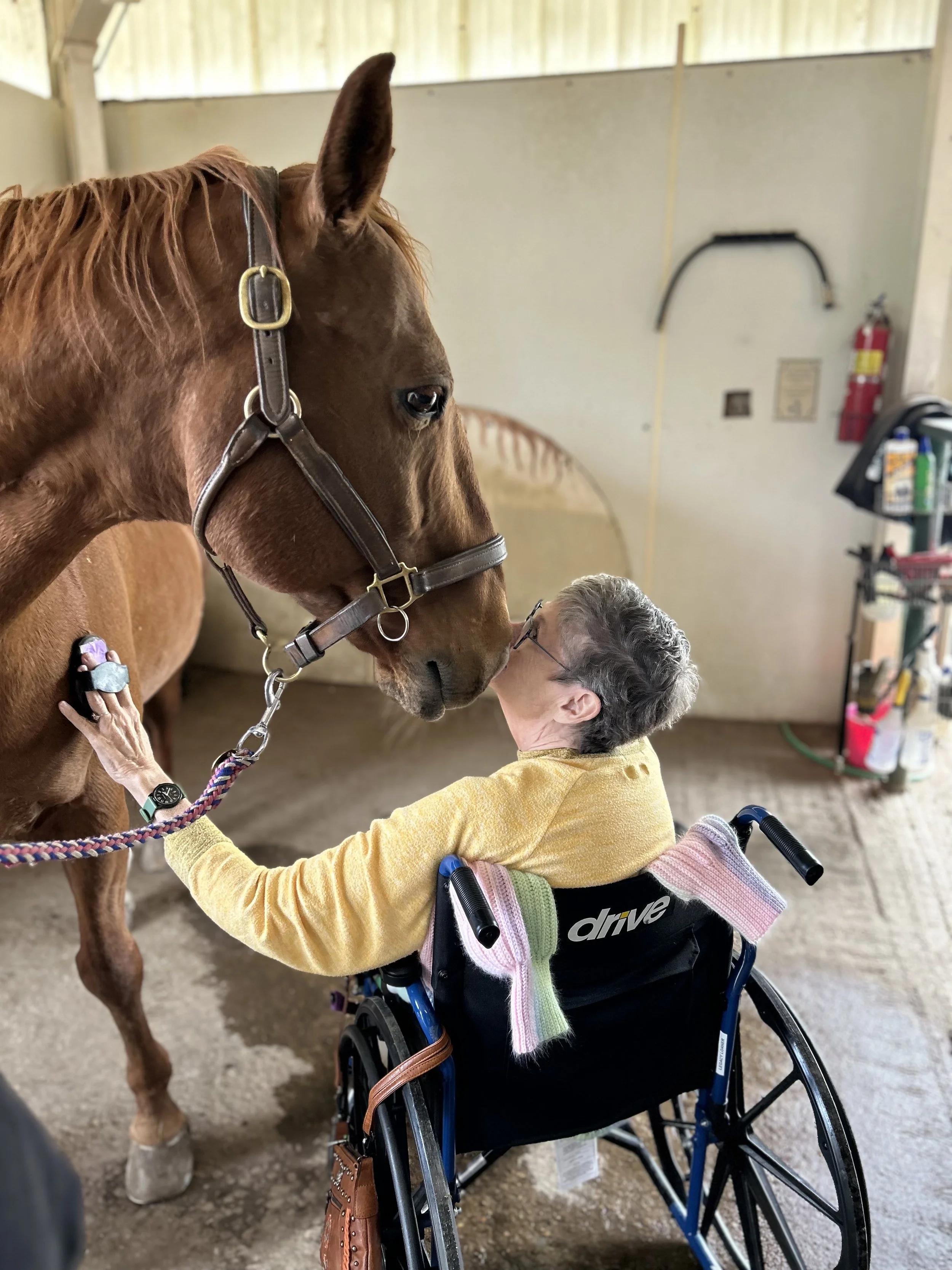 An elderly woman with short gray hair and glasses, sitting in a wheelchair, is kissing a large brown horse on the nose inside The Right Step Inc. barn. 
