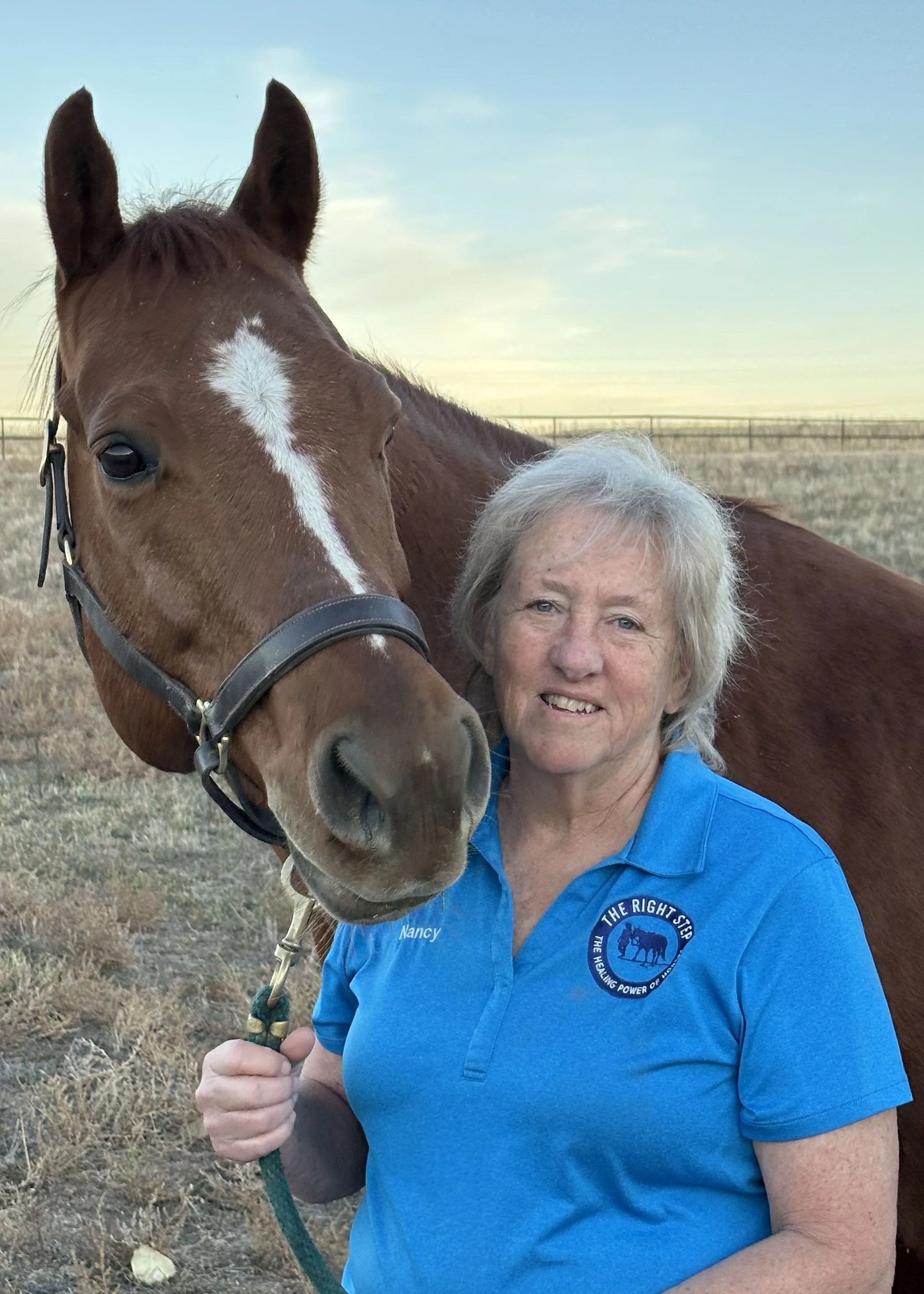 An elderly woman with gray hair wearing a blue shirt labeled 'Nancy' standing next to a brown horse with a white stripe on its face in a grassy field at sunset.