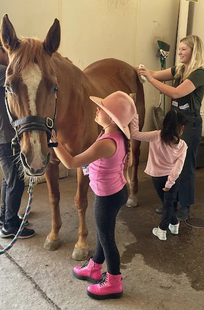 A young girl in a pink hat and tank top petting a brown horse, while another girl and a woman groom the horse in a stable.