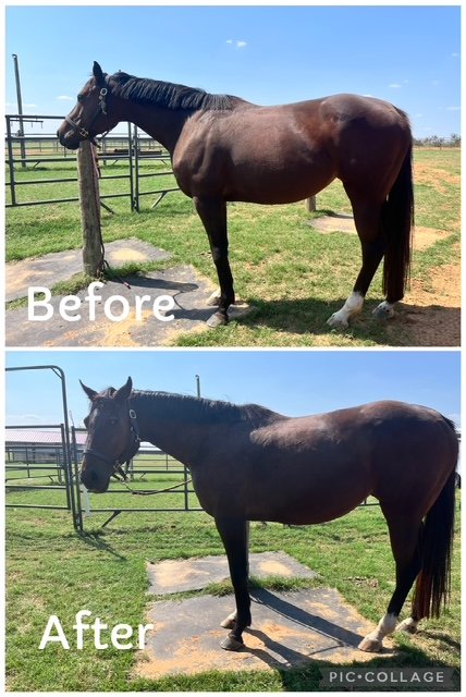Poppy | Pre and Post Comparison | Left Side Profile