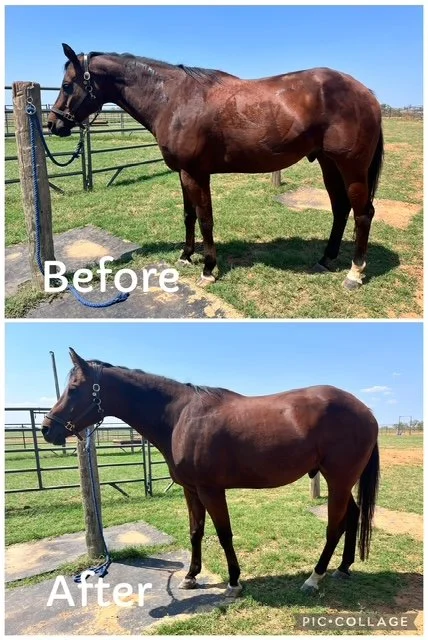 DJ | Pre and Post Comparison | Left Side Profile