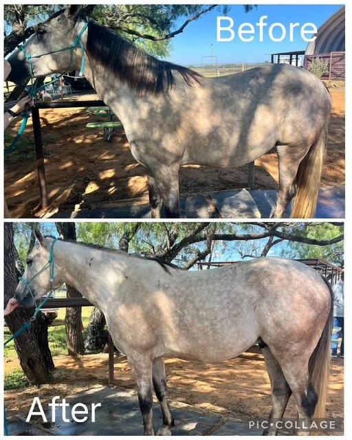 Levi | Pre and Post Side By Side | Left Facing View