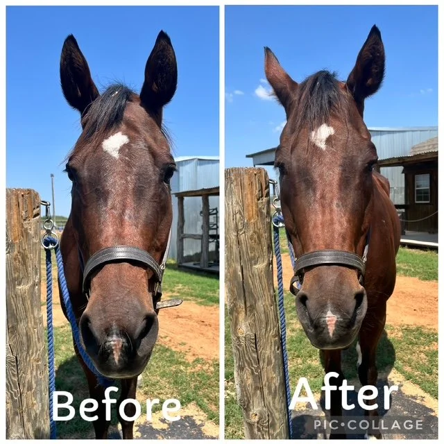 DJ | Pre and Post Comparison | Front Facing