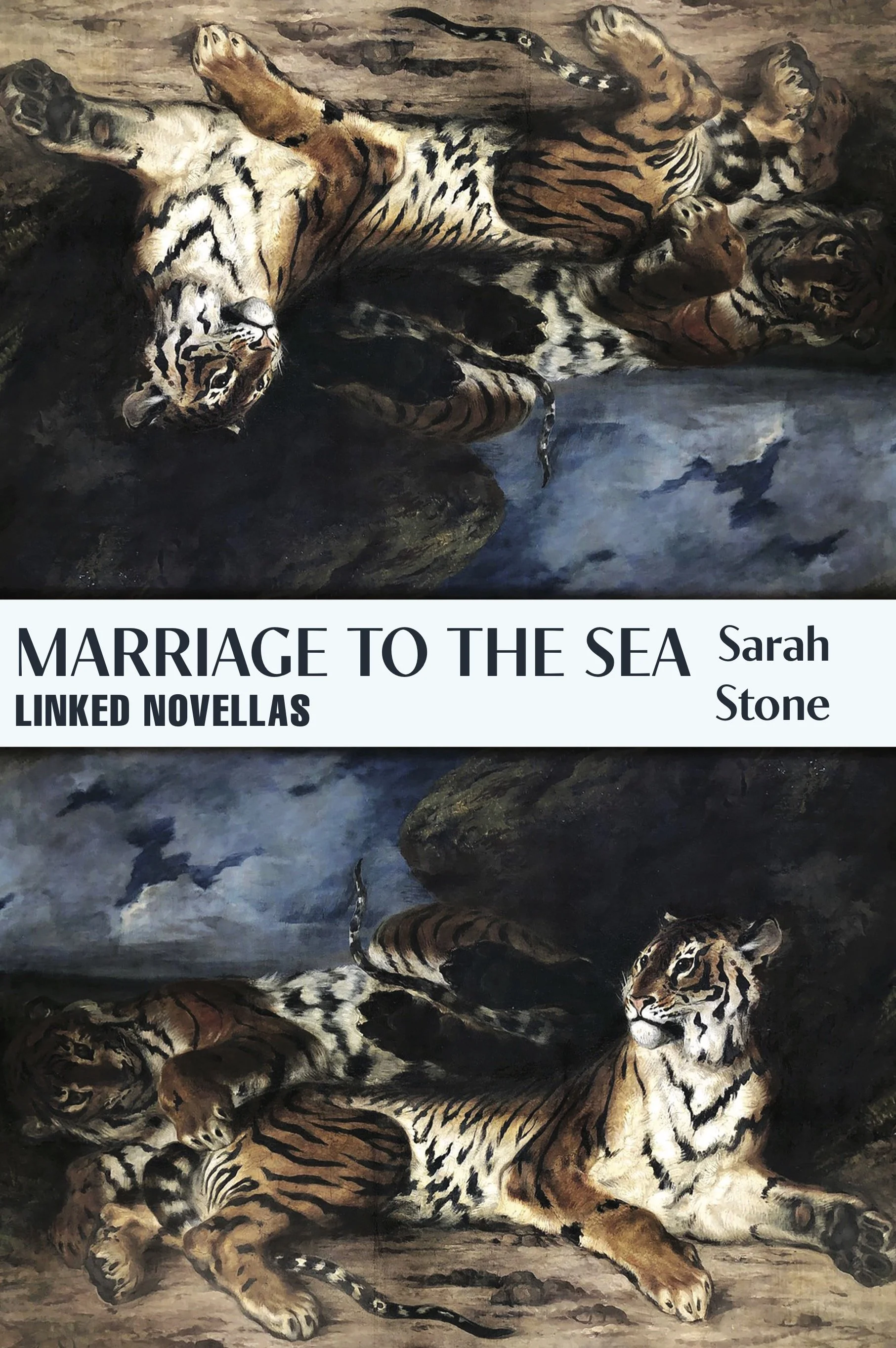 MTTS final cover higher res.jpg