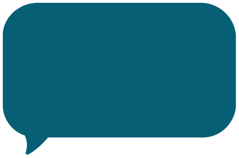 A dark teal speech bubble containing the text 'What is in this image? Respond in American English.'