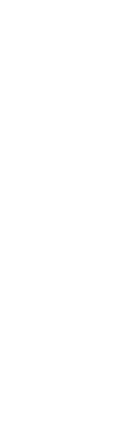 white arch on Bloom Her Path website where we provide specialized mom & baby services for obstetric pelvic floor therapy, infant lactation and feeding, and frenectomy pre- and post-care in Corpus Christi, TX