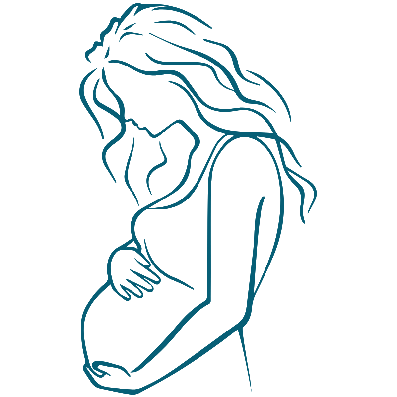 Pregnant woman facing to the left line drawing Bloom Her Path in Corpus Christi, Texas provides women's pelvic health therapy for birth prep, pregnancy pains, postpartum recovery, incontinence, and more