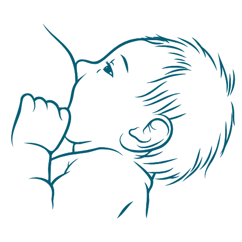 Line drawing of infant breastfeeding at Bloom Her Path in Corpus Christi, TX we offer lactation & infant feeding therapy services