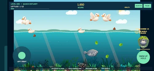Regular gameplay