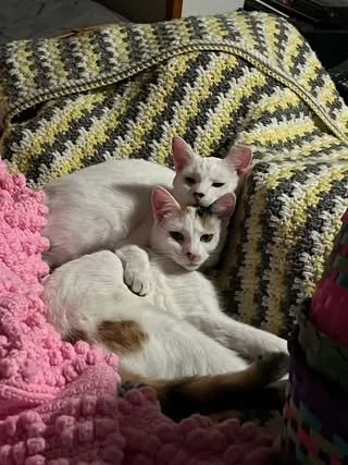 Tito and.jpg