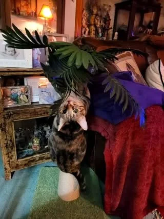 Queenie.jpg