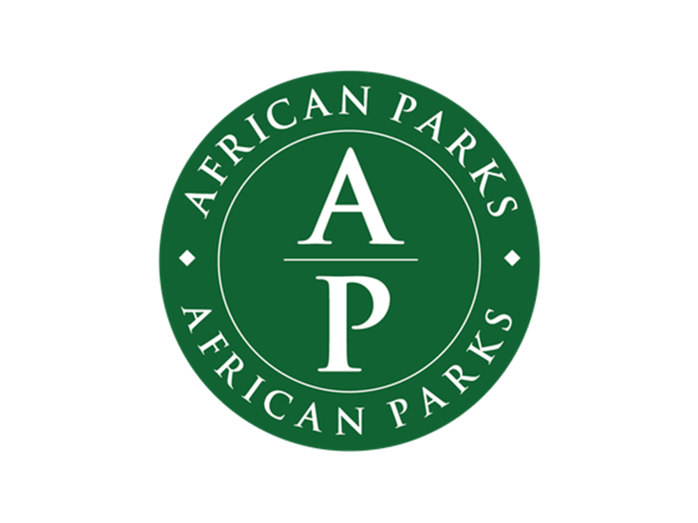 AP.png