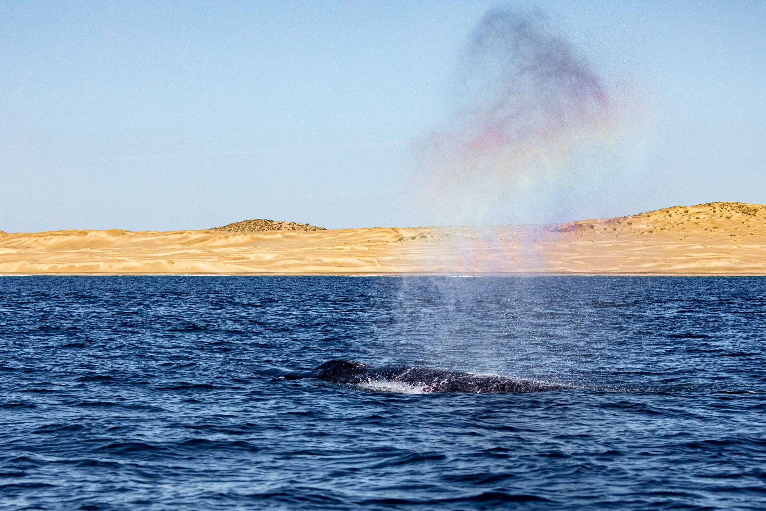 Mag bay dag 1-4.jpg