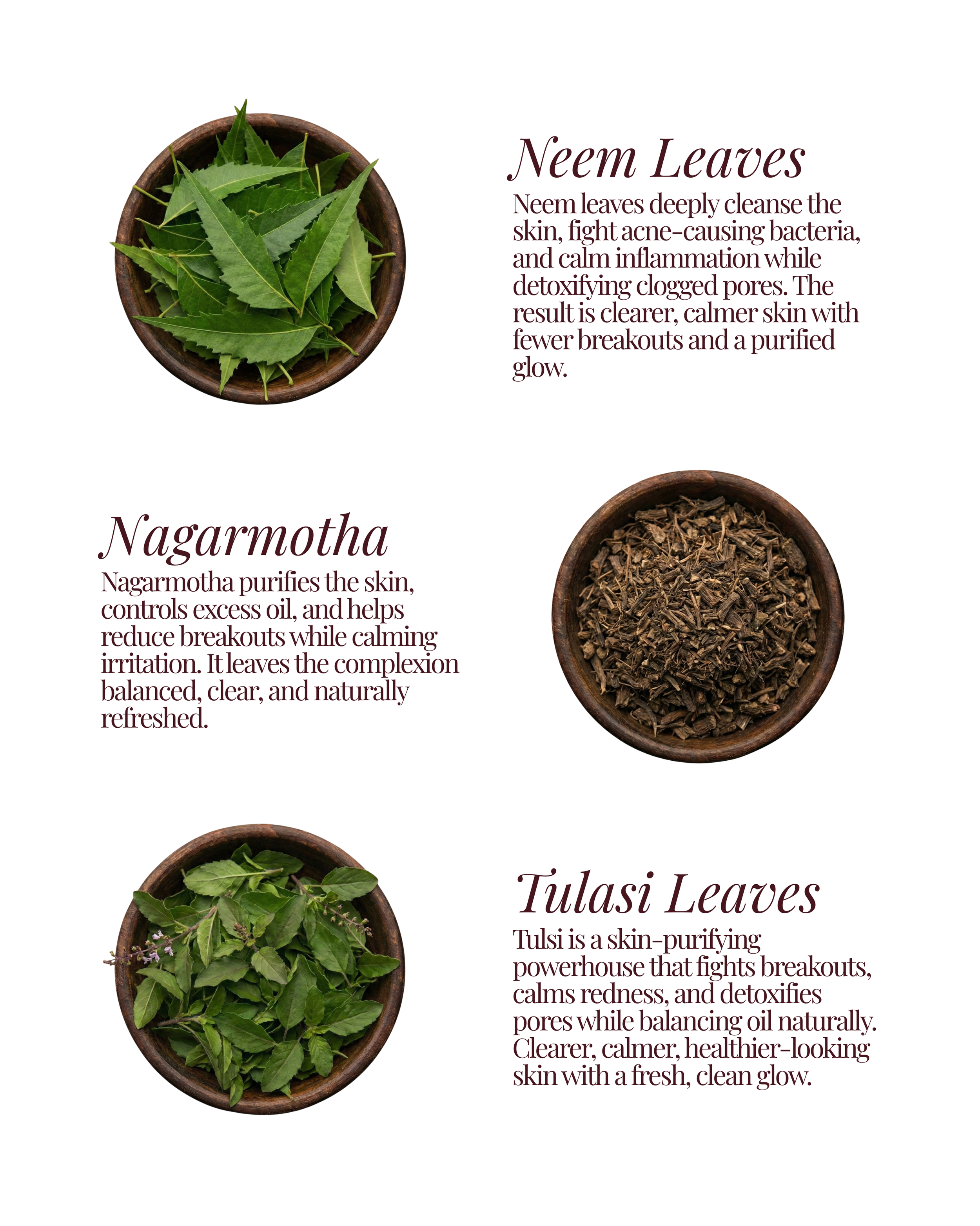 The Kaelira Menu.png