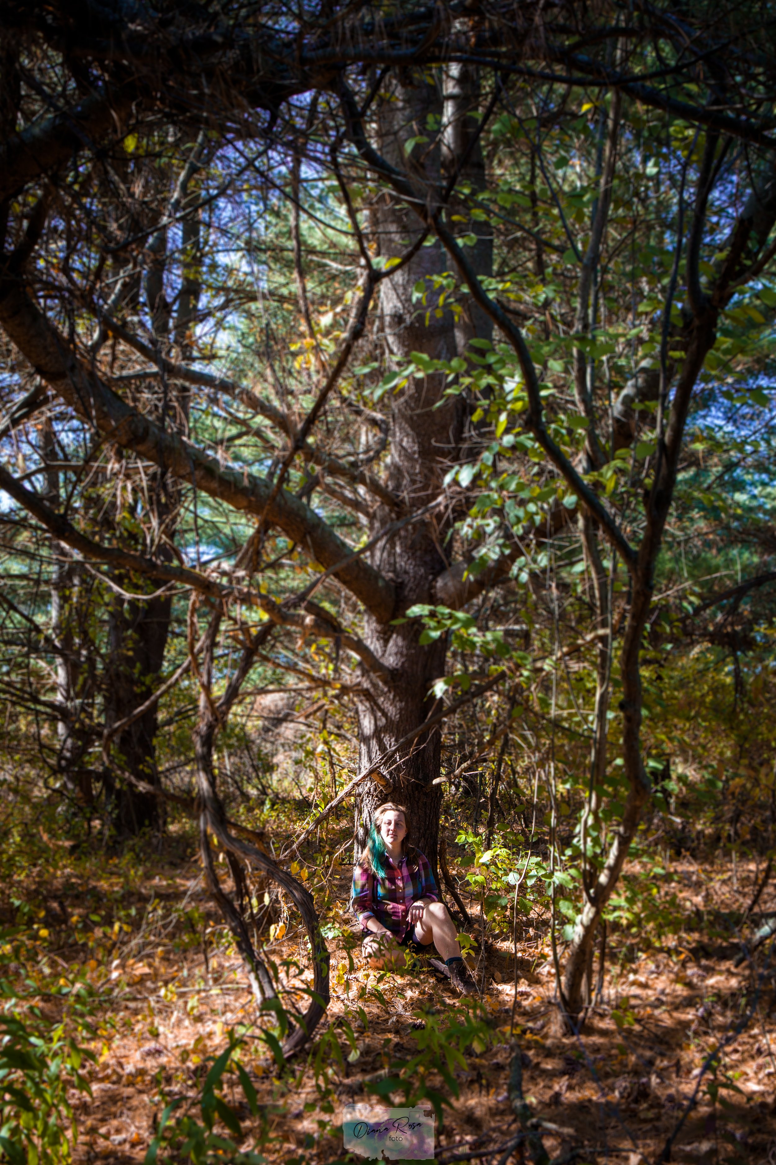 Soph siting at the base of a pine tree in dappled sunlight.