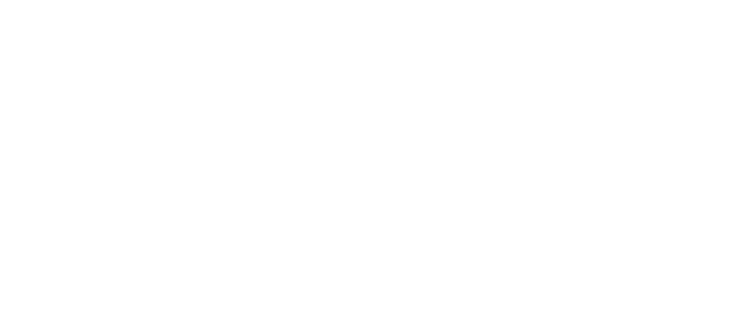 Client Experience Strategies (CXS)