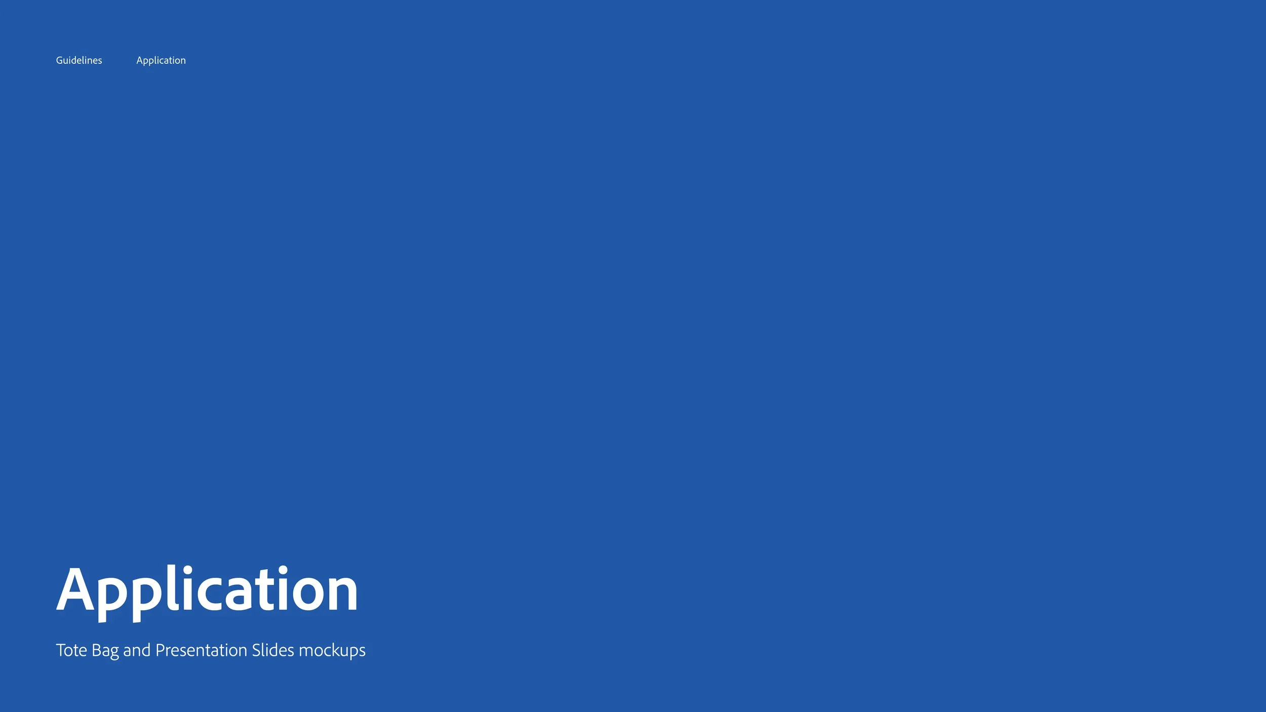 Adobe-Life-5th-Anniversary-Brand-Guideline15.jpg