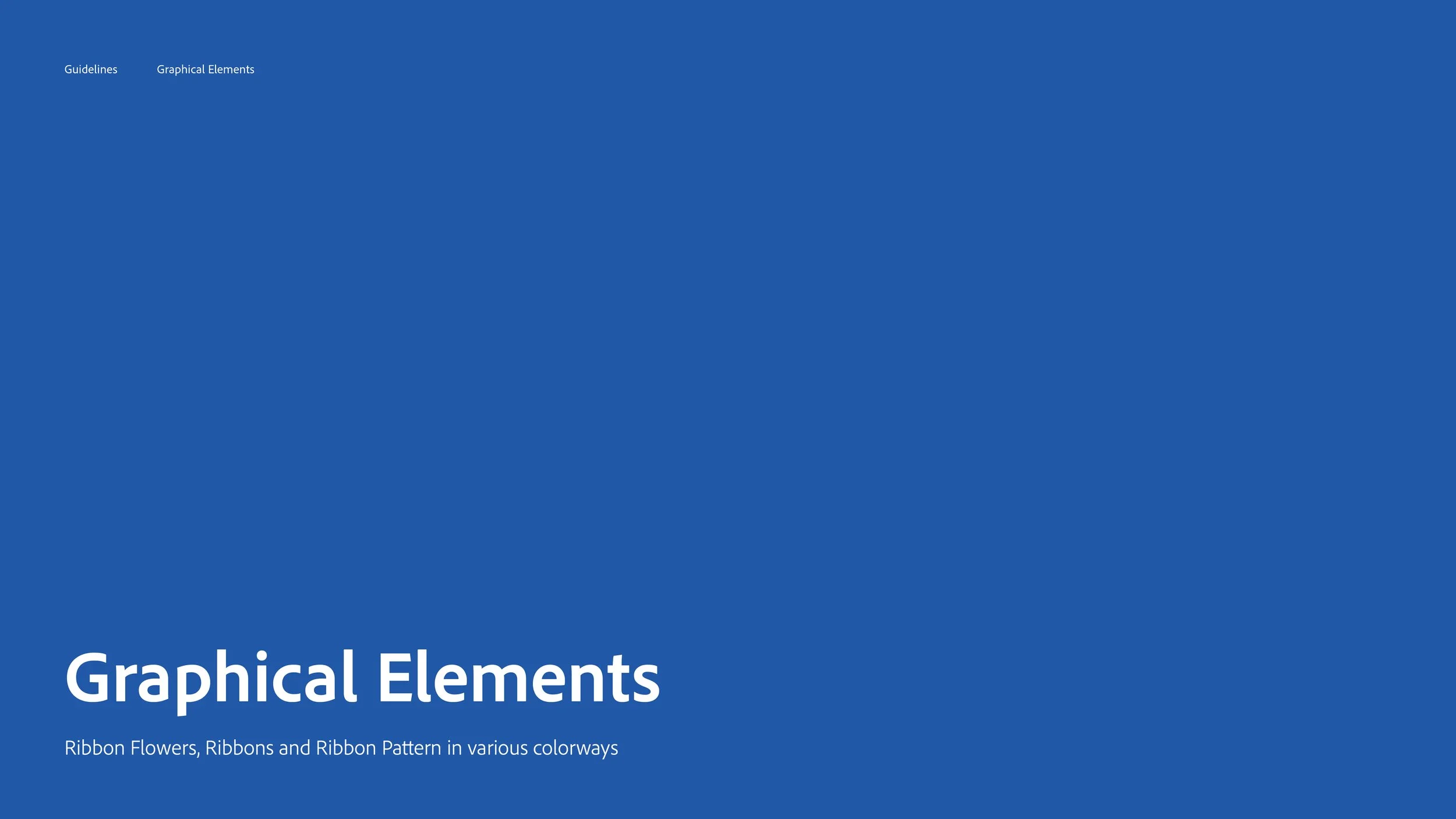 Adobe-Life-5th-Anniversary-Brand-Guideline10.jpg