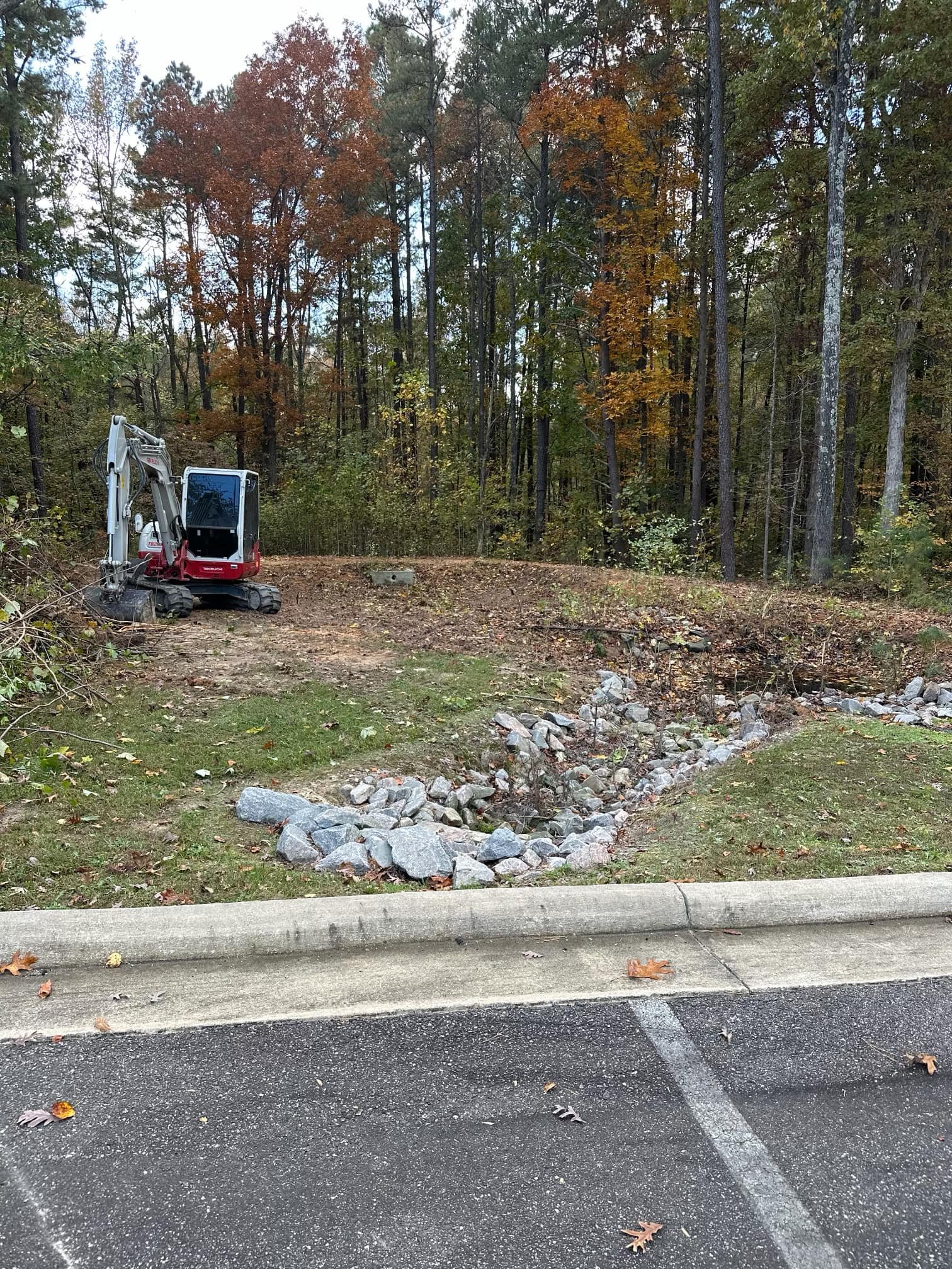 Clearing trees